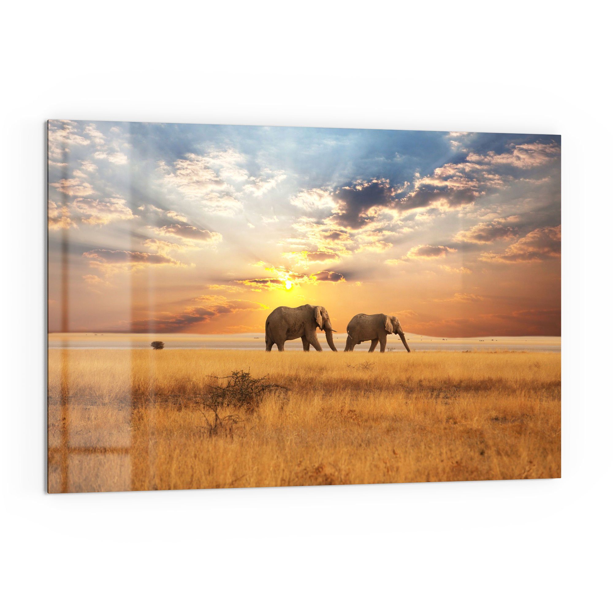 DEQORI Küchenrückwand 'Elefanten in der Steppe', Glas Spritzschutz Badrückwand Herdblende