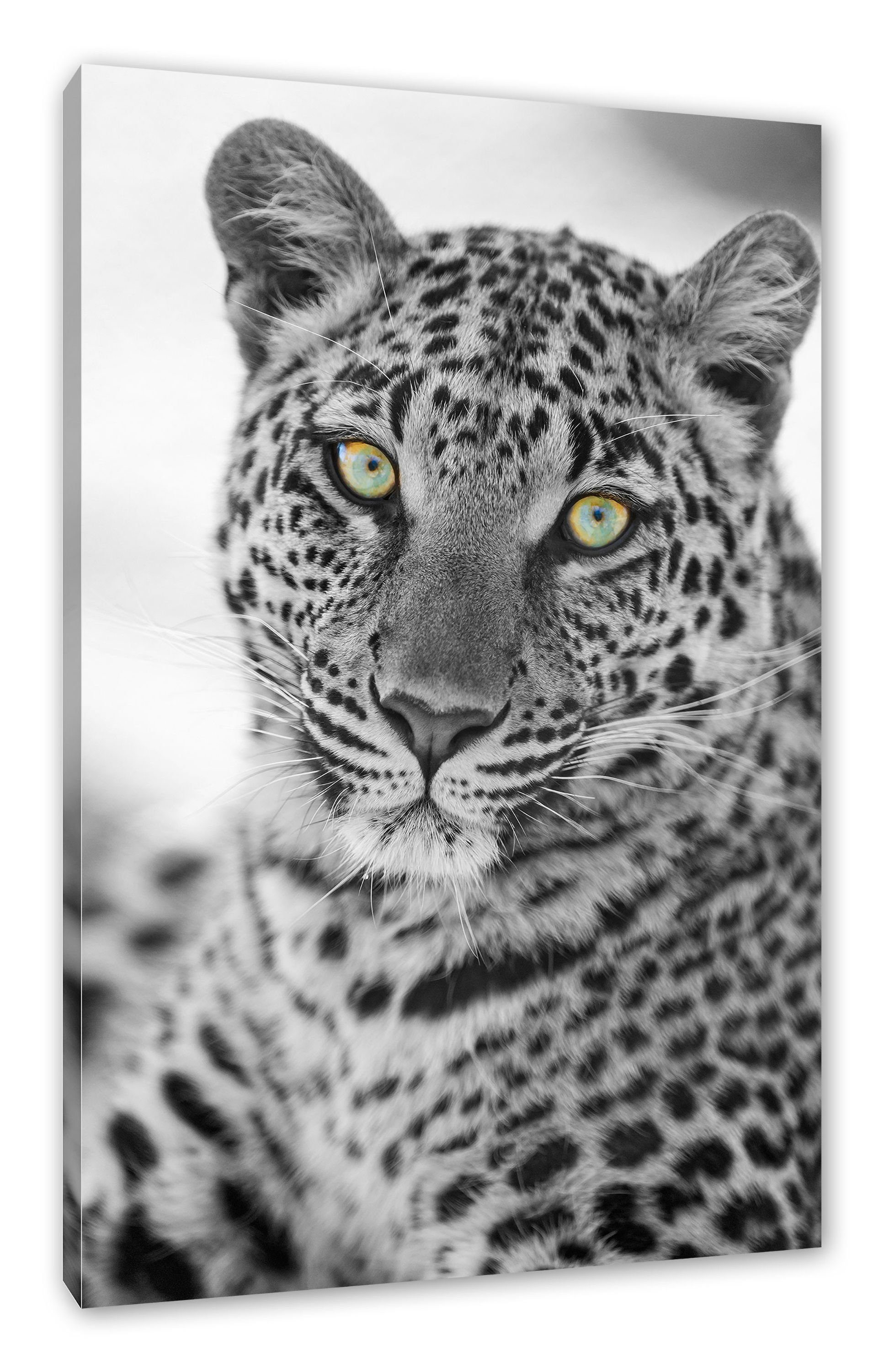 bespannt, Zackenaufhänger Leopard Leinwandbild wunderschöner Pixxprint Leinwandbild St), Leopard, wunderschöner inkl. (1 fertig