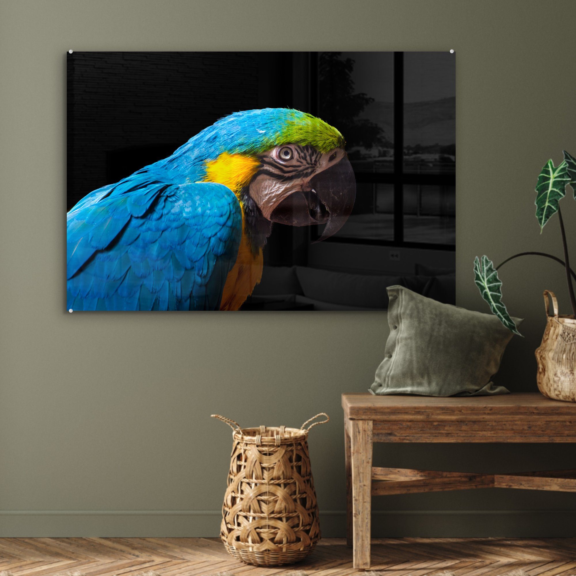 auf Blauer Acrylglasbilder Wohnzimmer Papagei schwarzem Schlafzimmer Ara MuchoWow Acrylglasbild & Hintergrund, St), (1