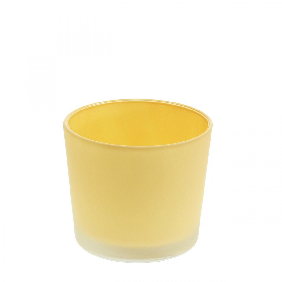 Florists Products Tischvase Eleganter Glasblumentopf für stilvolle Dekorationen
