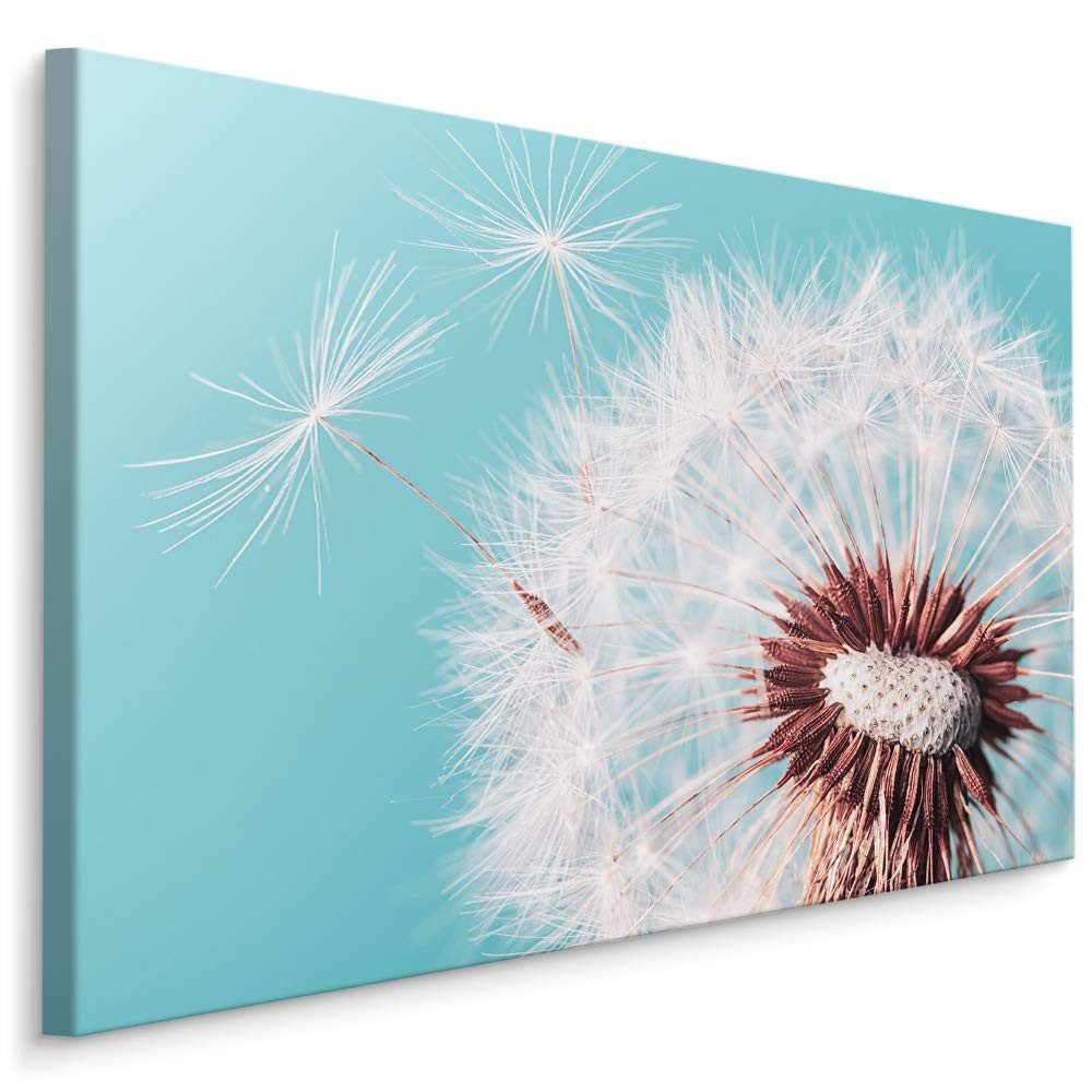 Muralo Leinwandbild Landschaft – Leinwandbild Wandbild Kunstdruck Wohnzimmer, Gewässer (1 St), Blumen – Pusteblumen – Löwenzahn, 30 x 20 cm, aufhängefertig