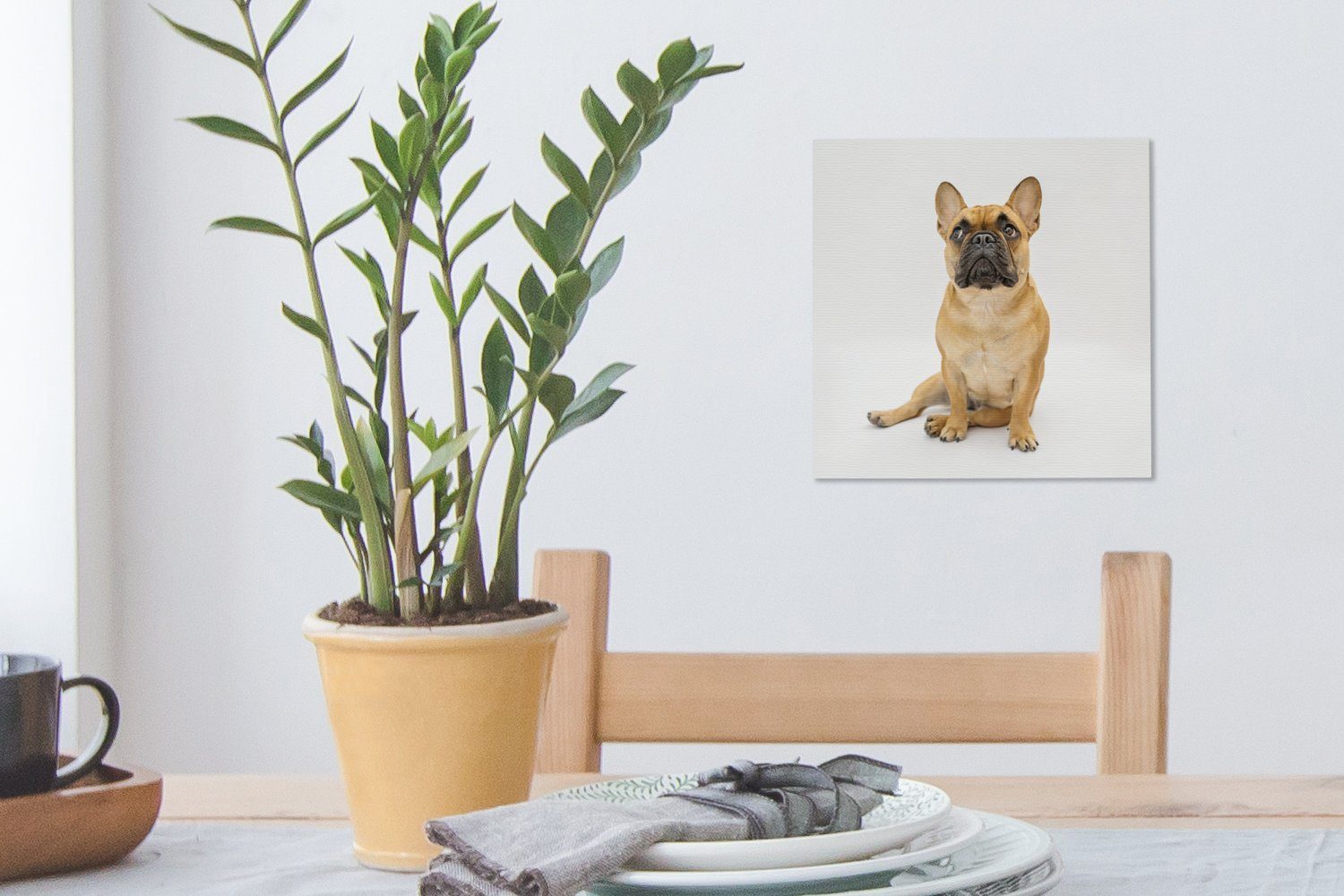 OneMillionCanvasses® Leinwandbild Französische Bulldogge - (1 Wohnzimmer - Weiß Braun, St), Bilder Leinwand Schlafzimmer für