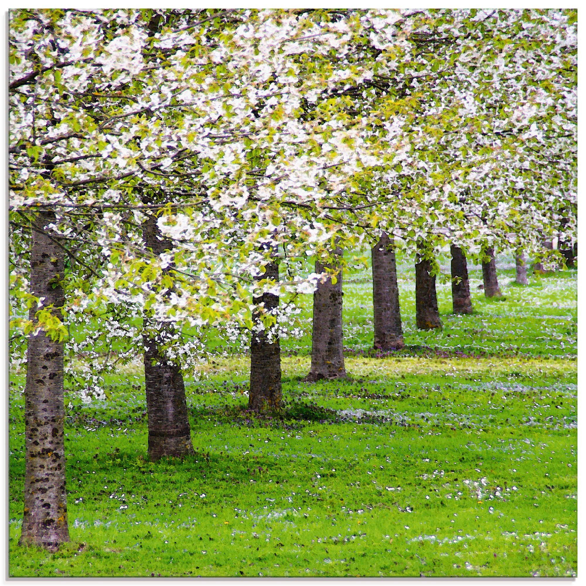 Artland Glasbild Blütenmeer, Bäume (1 St), in verschiedenen Größen
