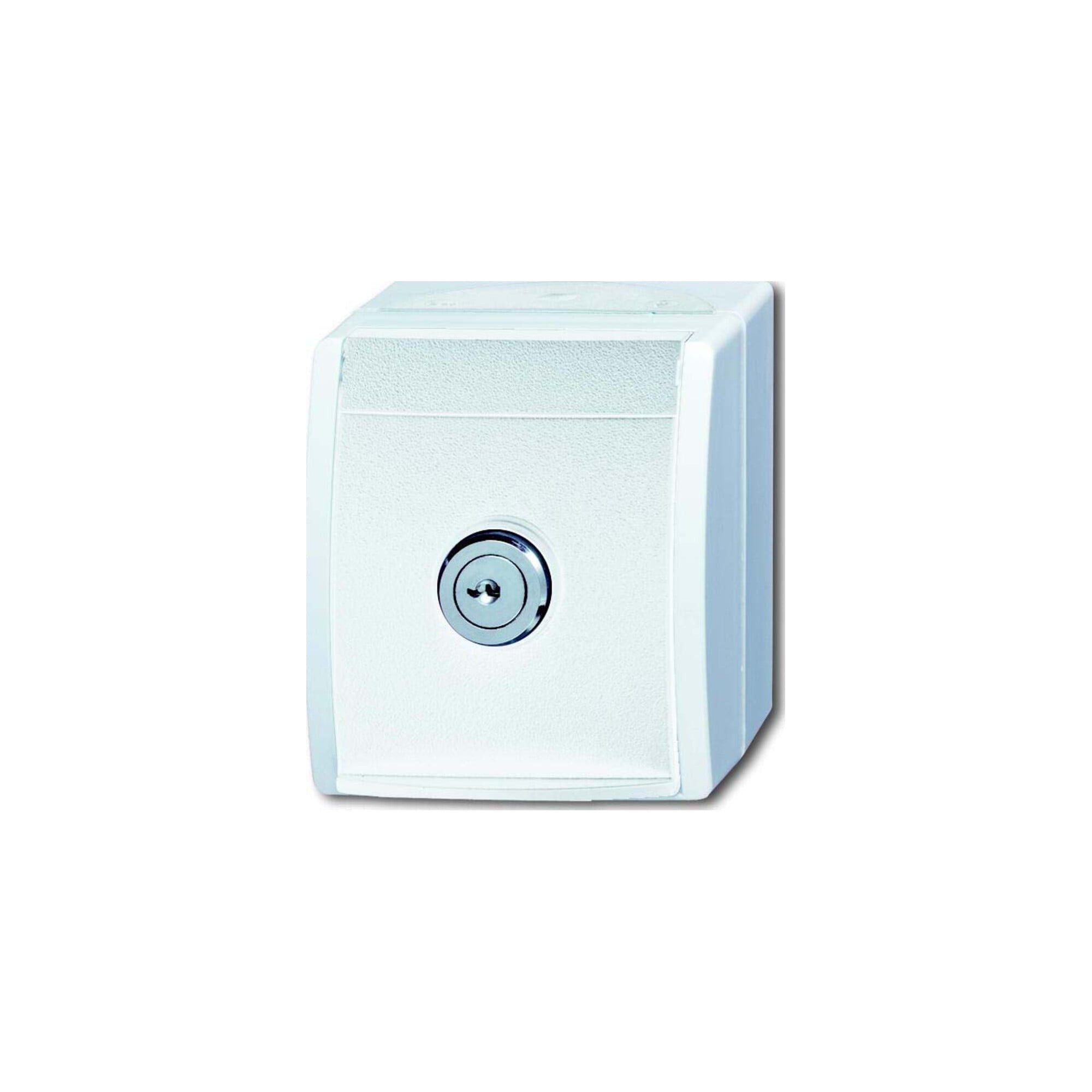 Busch-Jaeger Schuko-Stecker Busch-Jaeger SCHUKO-Steckdose al/ws mit Schloss 20 EWSL-54