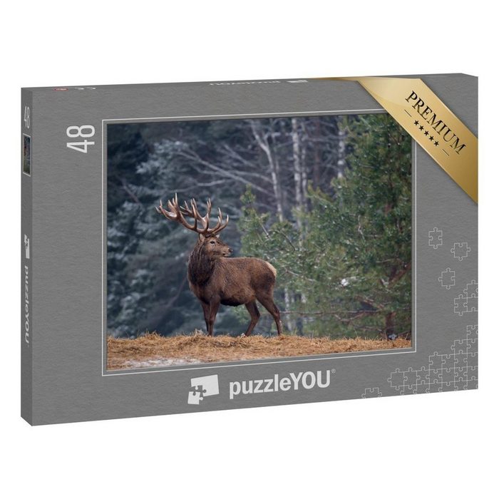 puzzleYOU Puzzle Stolzer Hirsch mit großen Geweih einsam im Wald 48 Puzzleteile puzzleYOU-Kollektionen Hirsche Tiere in Wald & Gebirge