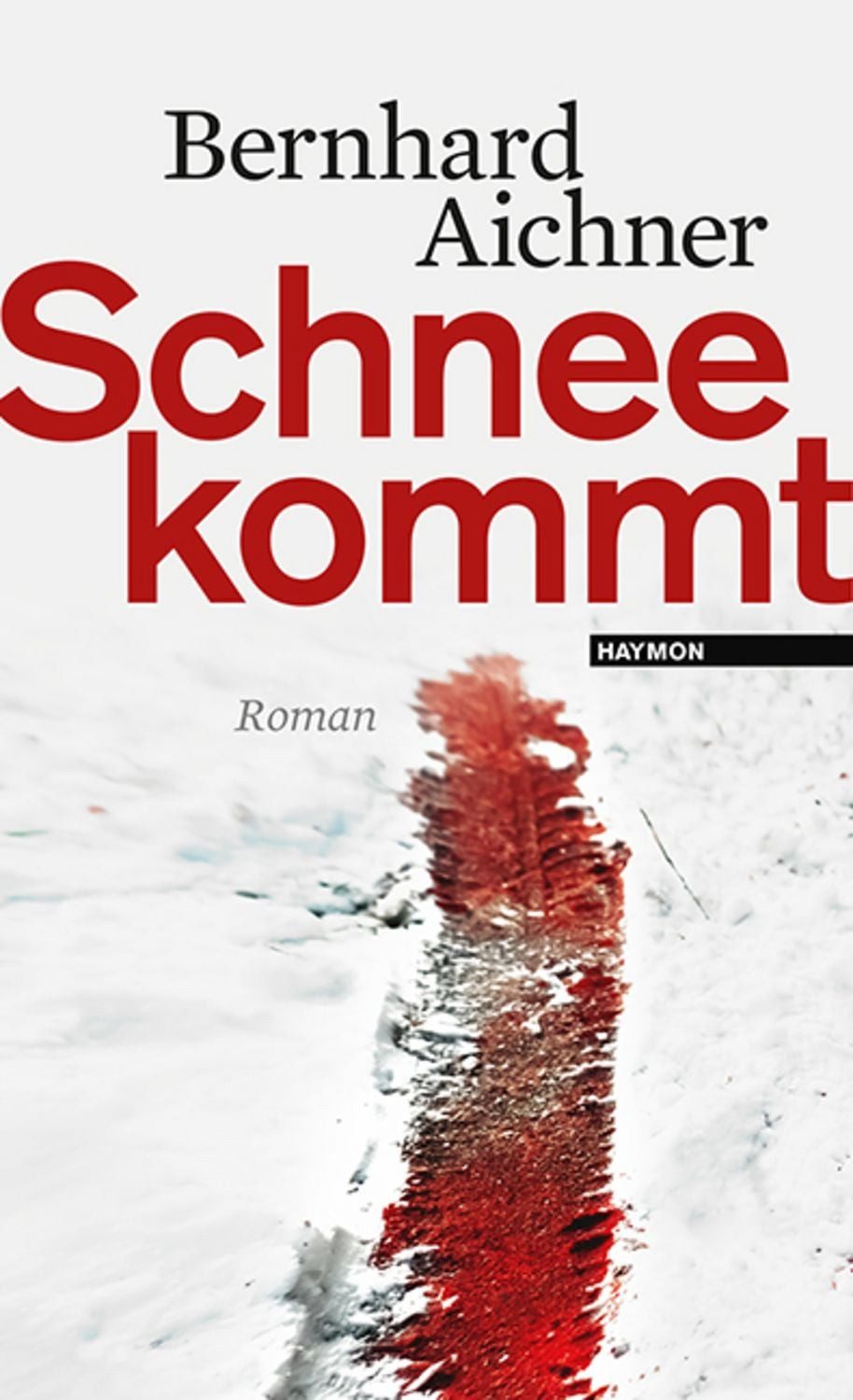 Schnee kommt / Bernhard Aichner