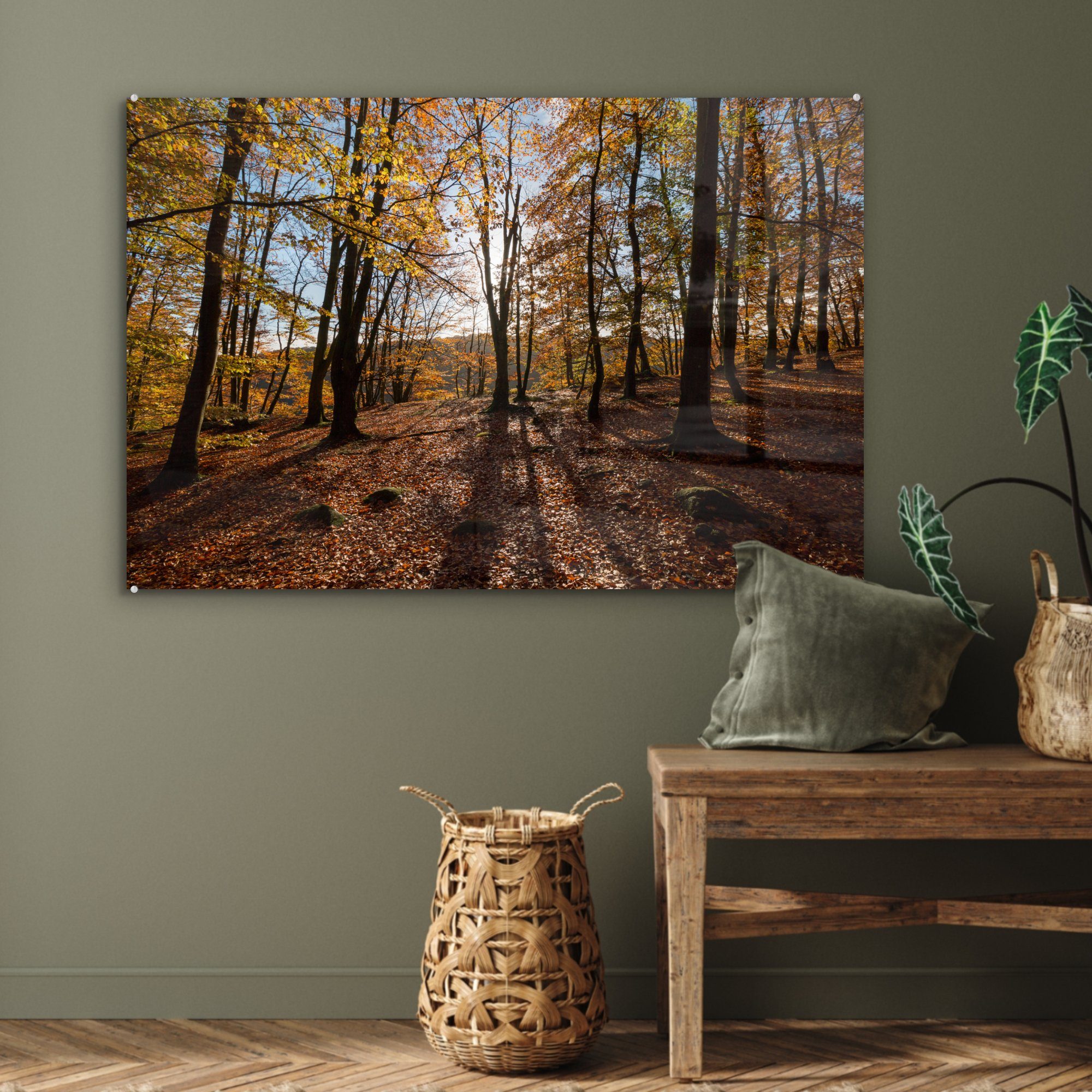 Wäldern Acrylglasbild Acrylglasbilder Nationalparks Wohnzimmer in des & Schweden, (1 MuchoWow Schlafzimmer den St), in Söderåsen Herbstfarben