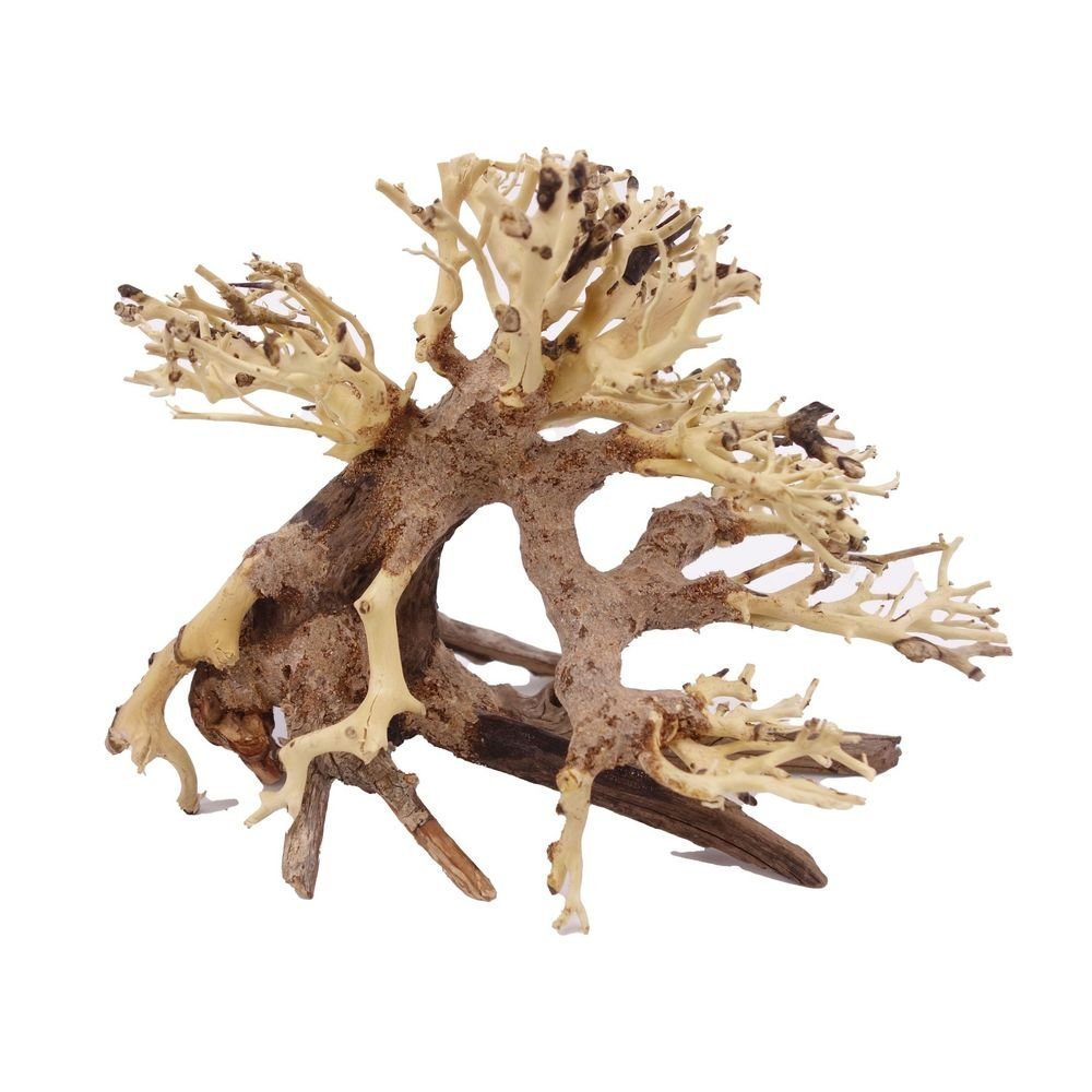 Aquaone Aquarium M Bonsai Baum Nr.10528 Wurzel Holz Aquarium Deko