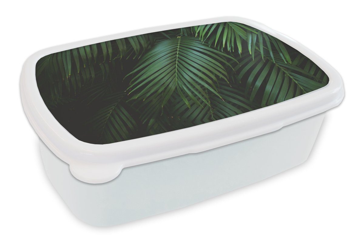 MuchoWow Lunchbox Palmenblätter - Palmen - Tropisch, Kunststoff, (2-tlg), Brotbox für Kinder und Erwachsene, Brotdose, für Jungs und Mädchen weiß