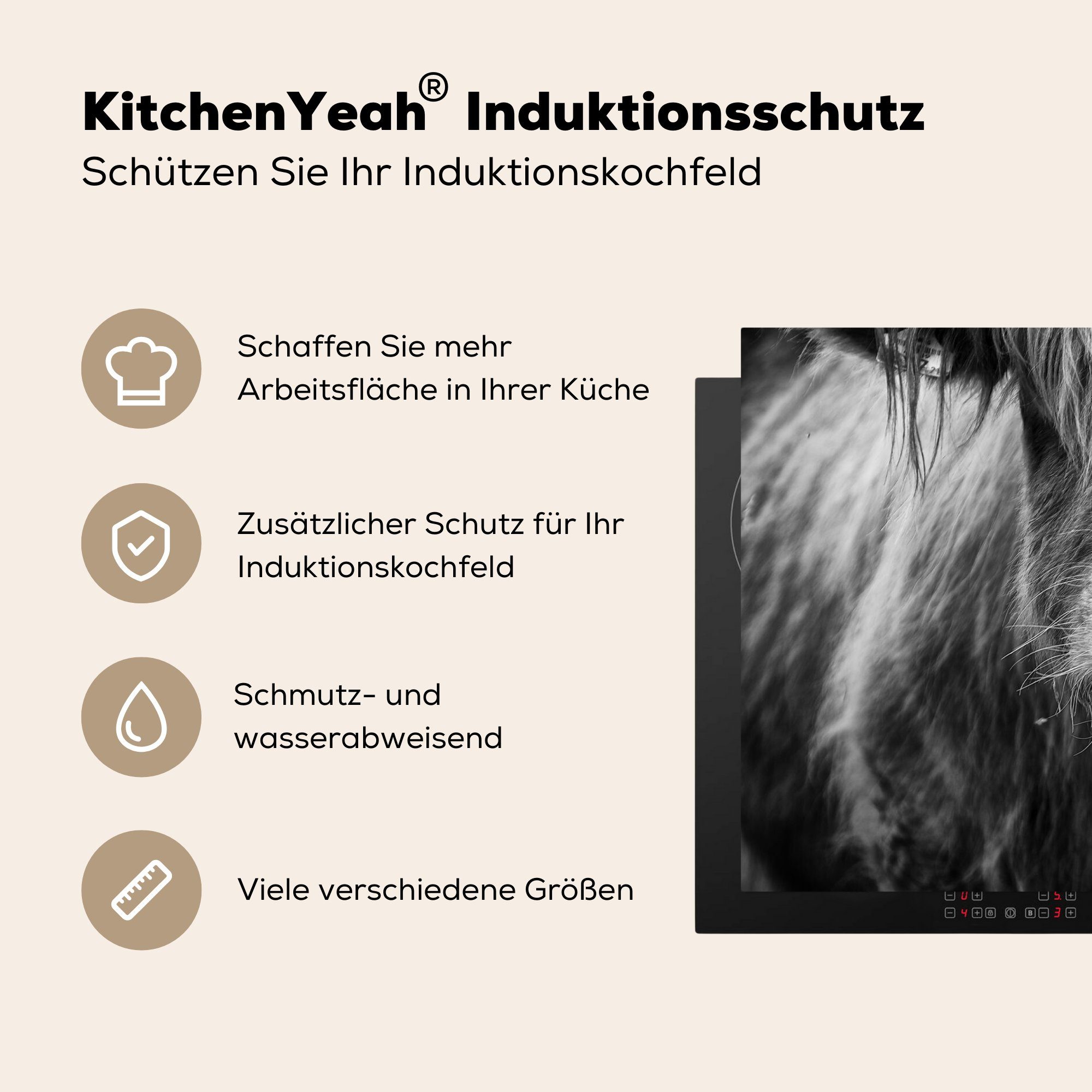 81x52 Schutz Schottischer - Schwarz Kuhkopf cm, Ceranfeldabdeckung küche, Highlander tlg), für Vinyl, - die Weiß, MuchoWow und Herdblende-/Abdeckplatte Induktionskochfeld (1