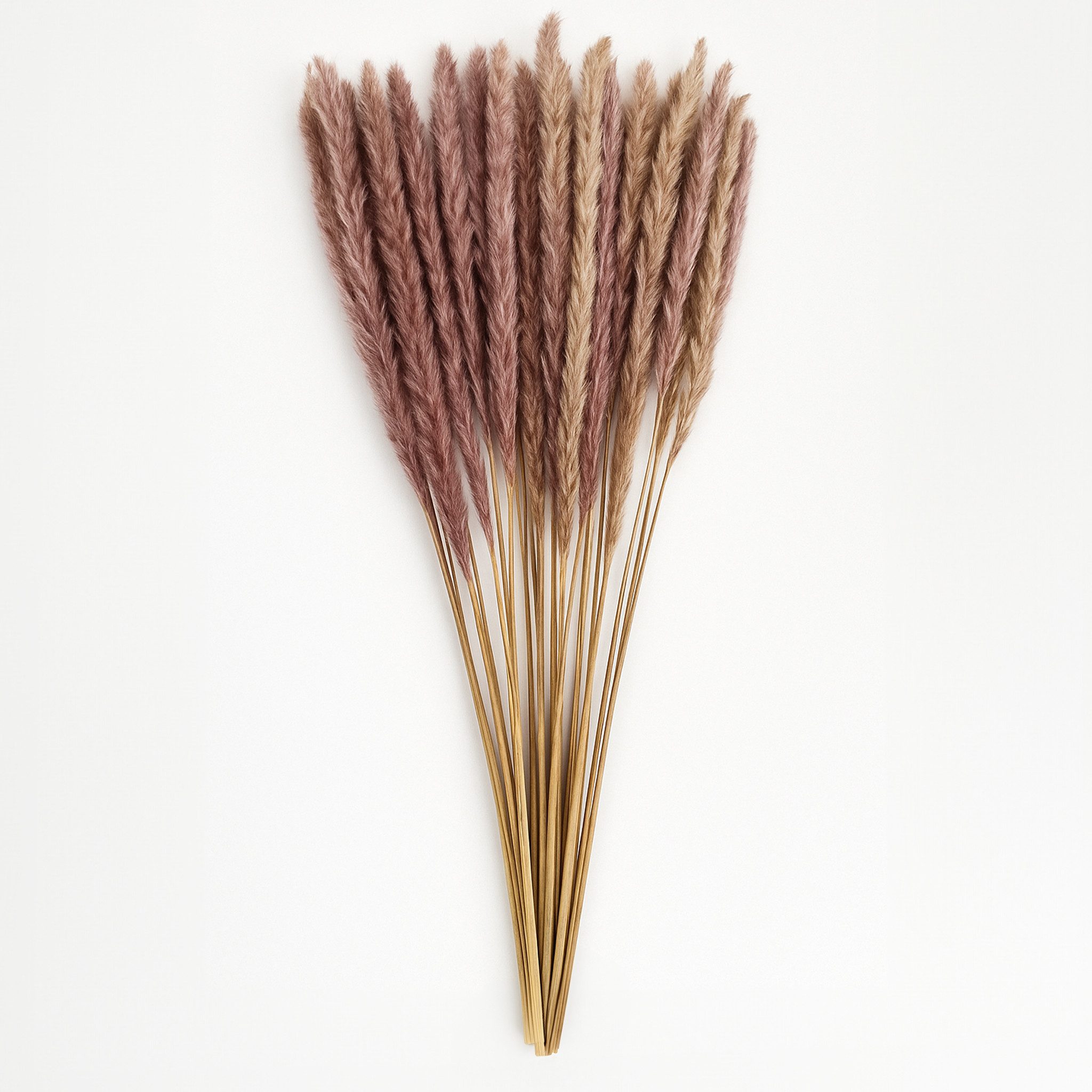 Kunstblume Getrocknetes Pampasgras im 40er Set, Natürlicher Trockenblumenstrauß