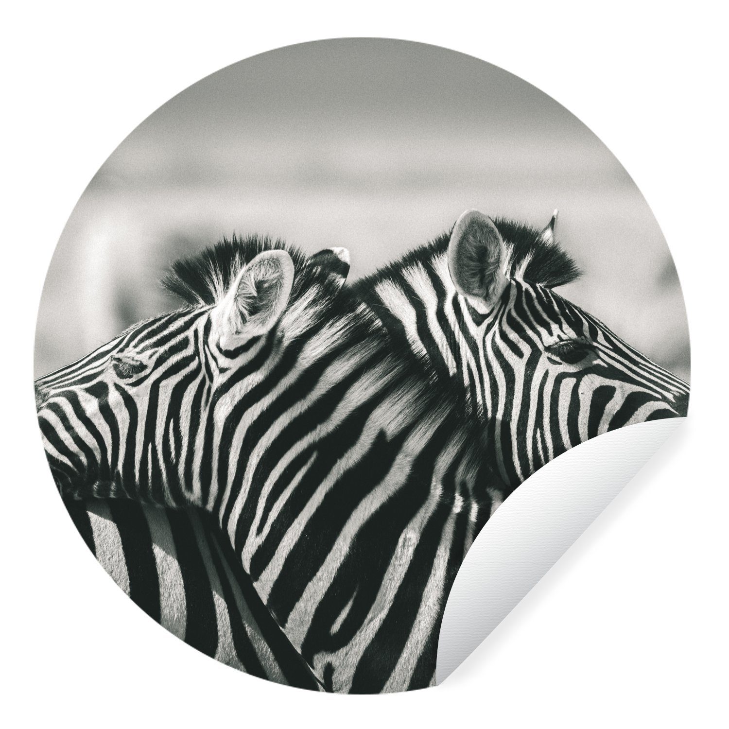 MuchoWow Wandsticker Kuschelige Zebras (1 St), Tapetenkreis für Kinderzimmer, Tapetenaufkleber, Rund, Wohnzimmer