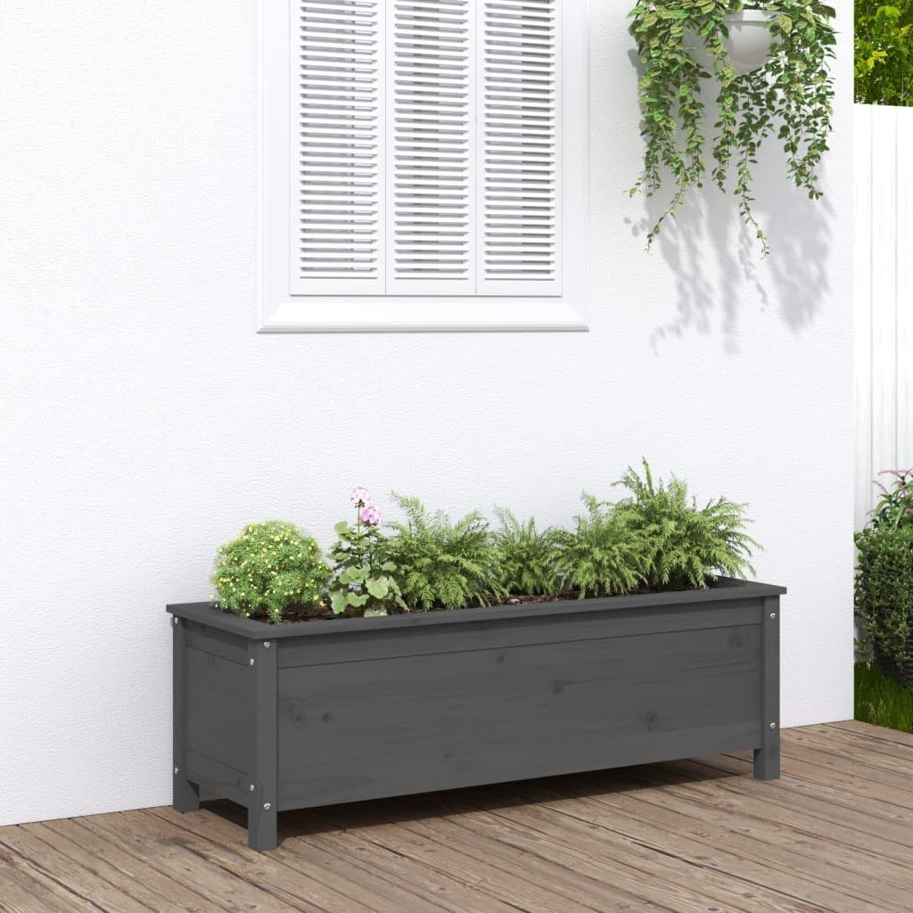 vidaXL Hochbeet Hochbeet Grau 119,5x40x39 cm Massivholz Kiefer (1 St)