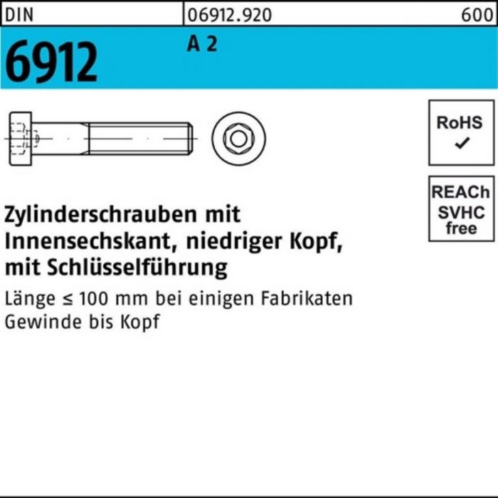 Reyher Zylinderschraube 100er Pack Zylinderschraube DIN 6912 Innen-6kt M8x 100 A 2 50 StückDI