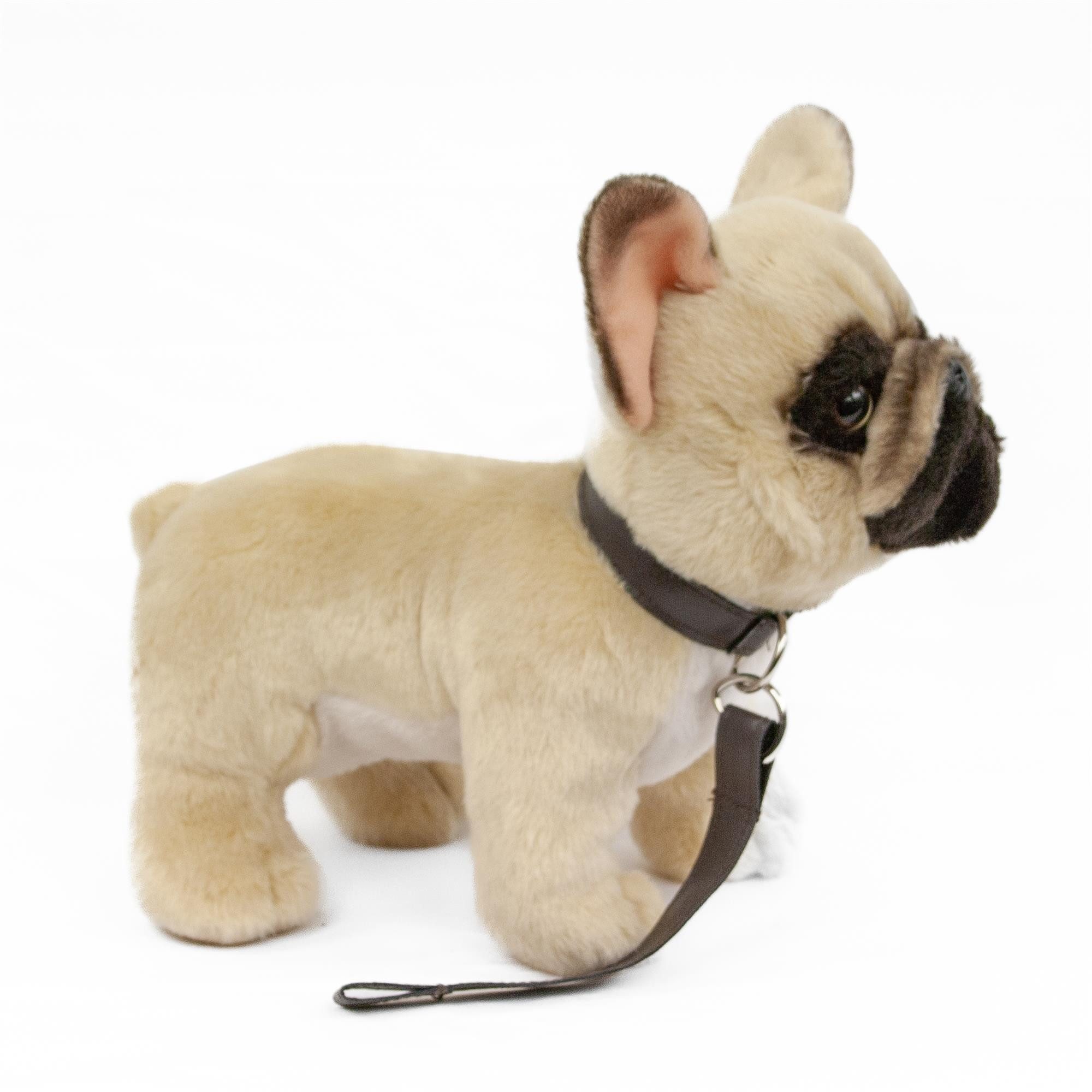 Teddys Rothenburg Kuscheltier Kuscheltier Französische Bulldogge beige mit Leine 23 cm Plüschhund (Stoffhund, Plüschtier, Stofftier, Stoffbulldogge, Plüschbulldogge)