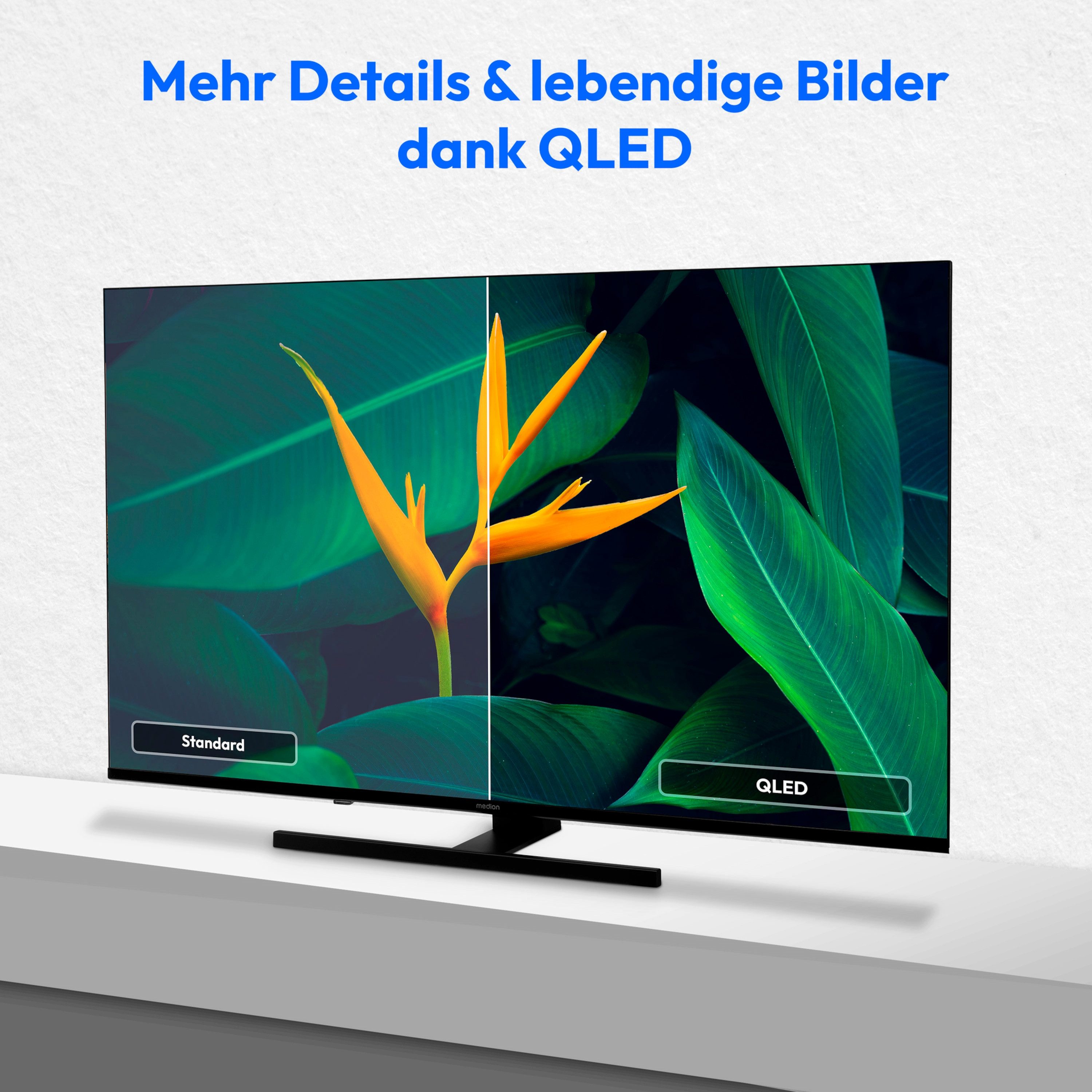 Medion® MD855600 QLED-Fernseher (138.8 cm/55 Zoll, 4K Ultra HD, Smart-TV, Dolby Vision, Dolby Atmos, Netflix, HBO Max, Prime Video, Disney+, WOW)