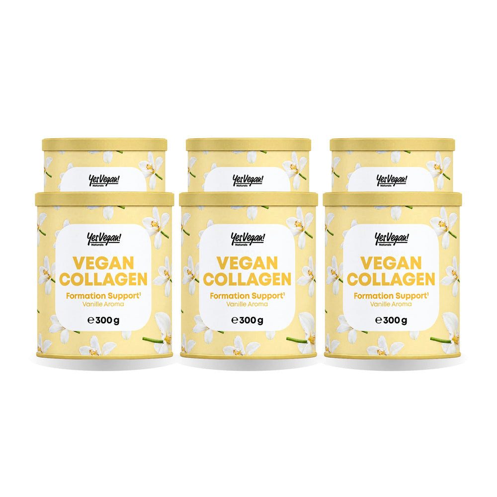 Yes Vegan Vegan Collagen Vanille, Hyaluron, Biotin, Vitamin C Pulver, 6 er Spar-Set à 300 g, vegan, laktosefrei, glutenfrei