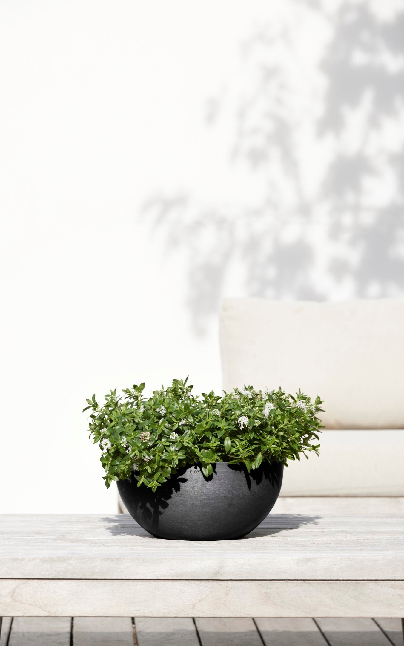 Blumentopf ECOPOTS BRUSSELS cm 30x30x14 Grey, Dark BxTxH: