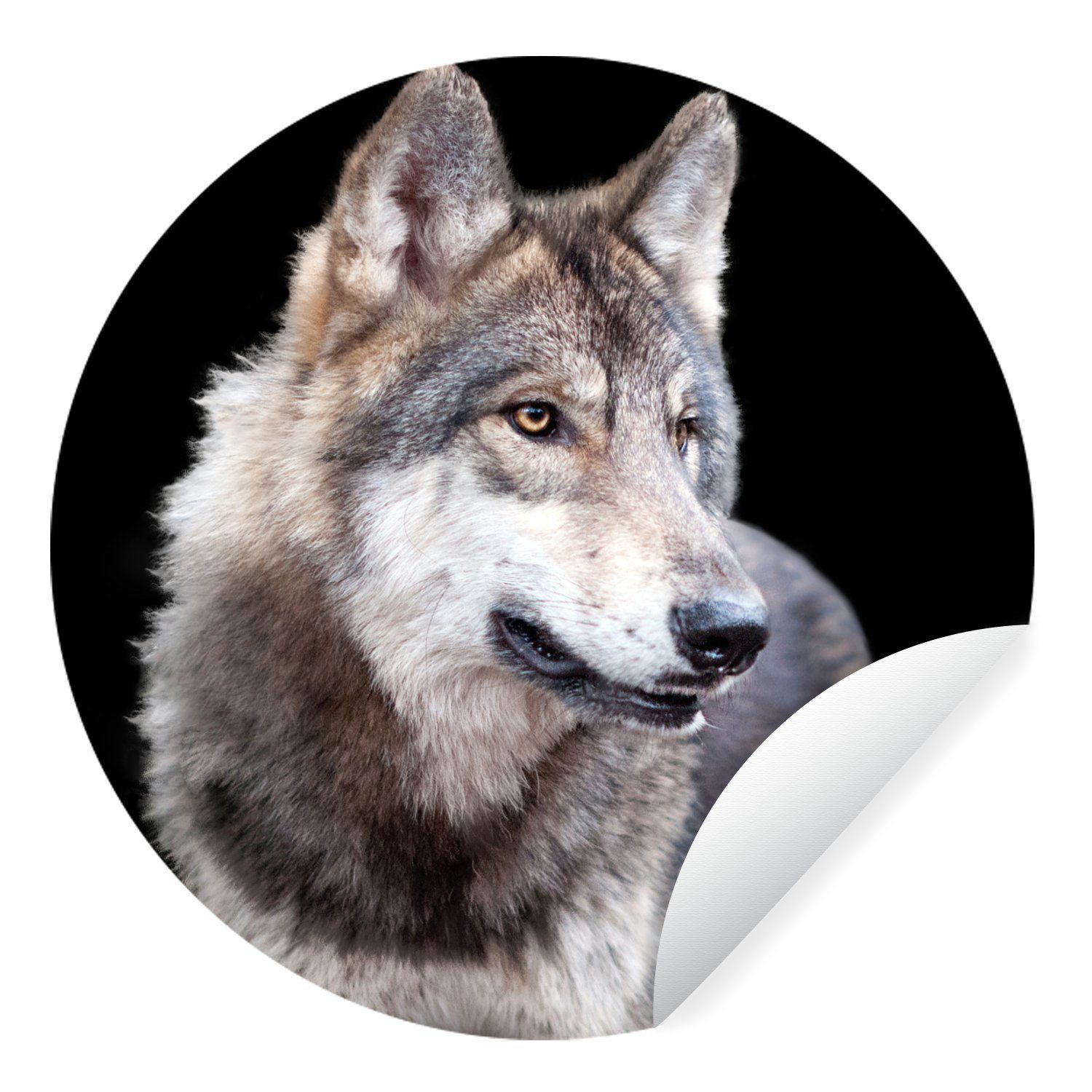 MuchoWow Wandsticker Grauer Wildwolf (1 St), Tapetenkreis für Kinderzimmer, Tapetenaufkleber, Rund, Wohnzimmer