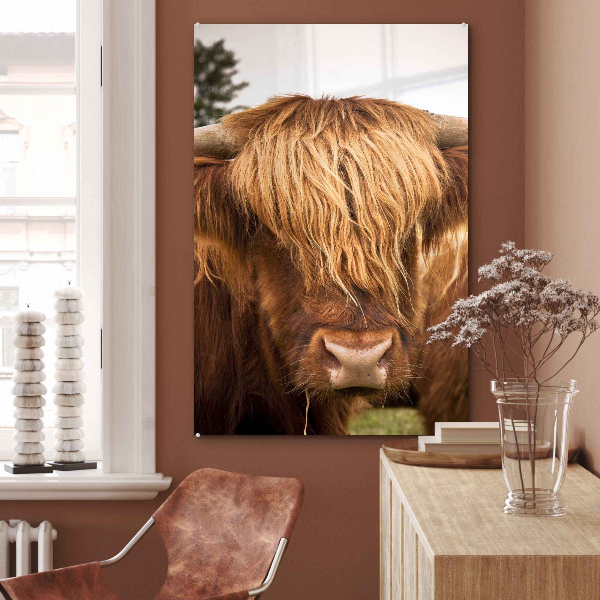 Braun Schottische - Gemälde Highlander wohnzimmer Dekoration (1 Glas, MuchoWow Acrylglasbild St), auf - Gras,