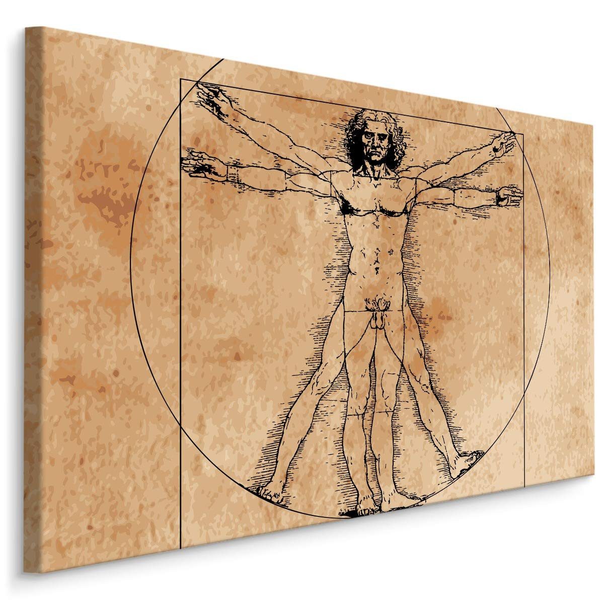 Muralo Leinwandbild Menschen – Leinwandbild Wandbild Kunstdruck Wohnzimmer, Frau (1 St), Mensch – DaVinci – Wissenschaft, 90 x 60 cm, aufhängefertig