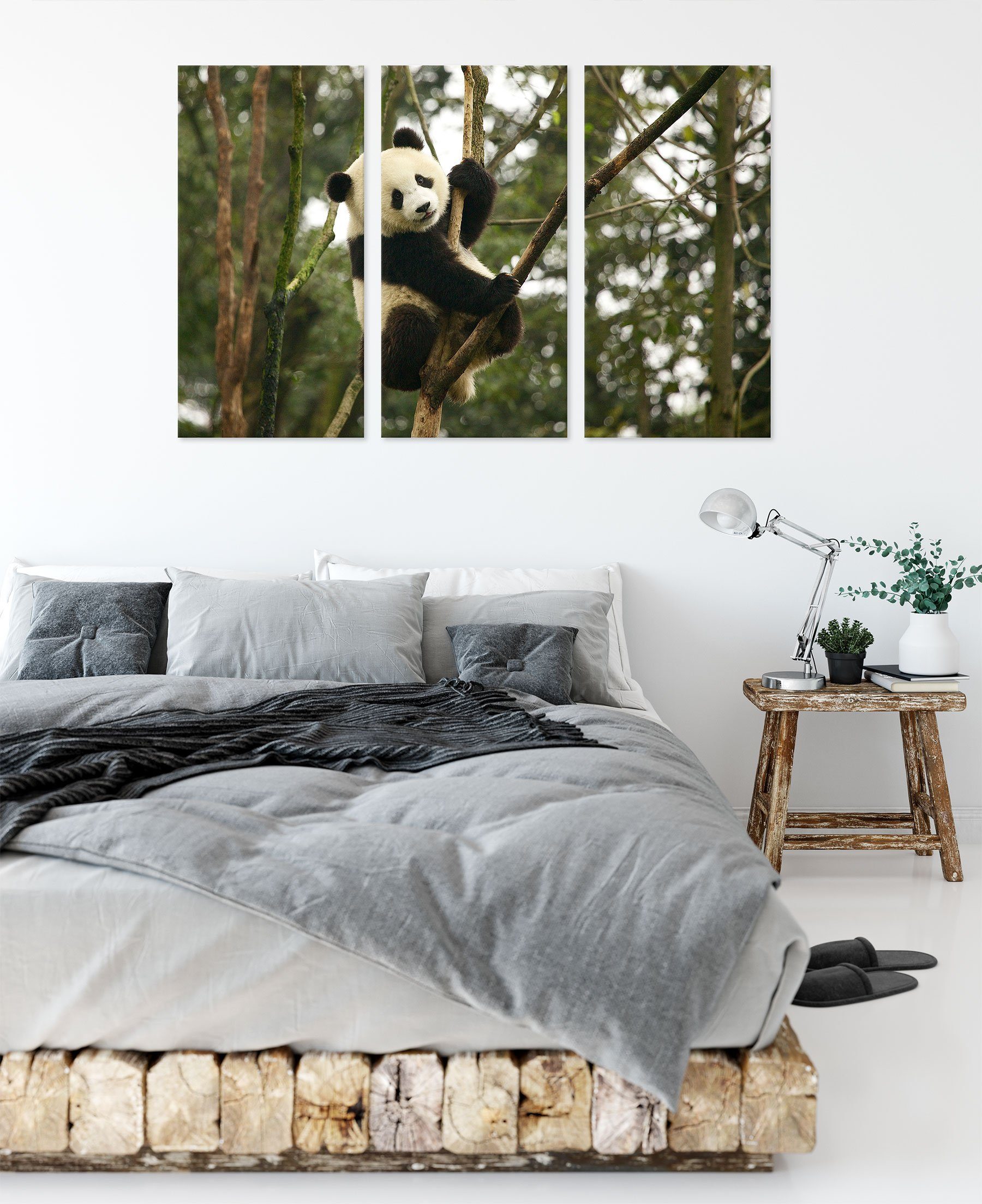auf Leinwandbild St), bespannt, Zackenaufhänger (120x80cm) Leinwandbild Baum 3Teiler niedlicher niedlicher Pixxprint inkl. Pandabär Baum, (1 fertig auf Pandabär