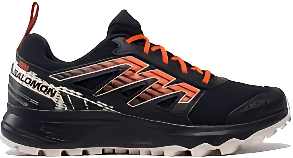 Salomon WANDER für Herren Outdoorschuh