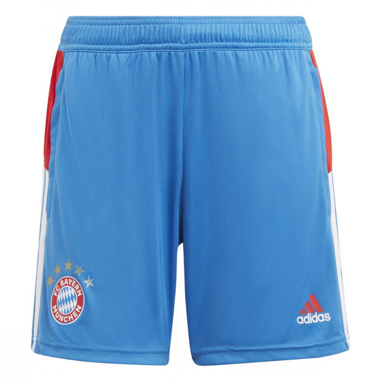 adidas Sportswear Шорты FC Bayern Trainingsshort Damen