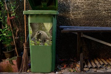 MuchoWow Wandsticker Waschbär - Wasser - Wald (1 St), Mülleimer-aufkleber, Mülltonne, Sticker, Container, Abfalbehälter