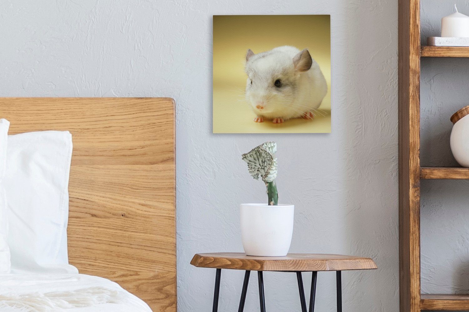 OneMillionCanvasses® Leinwandbild Eine Leinwand eines Hintergrund, für Wohnzimmer Schlafzimmer Bilder Nahaufnahme St), gelbem (1 auf Chinchillas