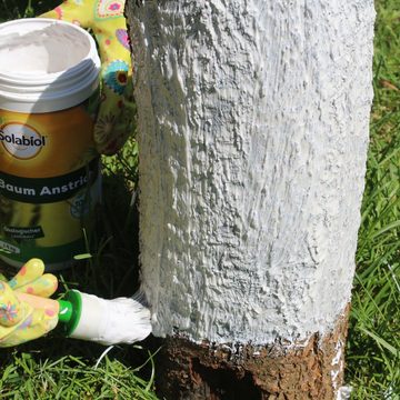 Solabiol Baumanstrich Baum Anstrich - 1,5 kg - Baumpflege, verhindert Frostrisse