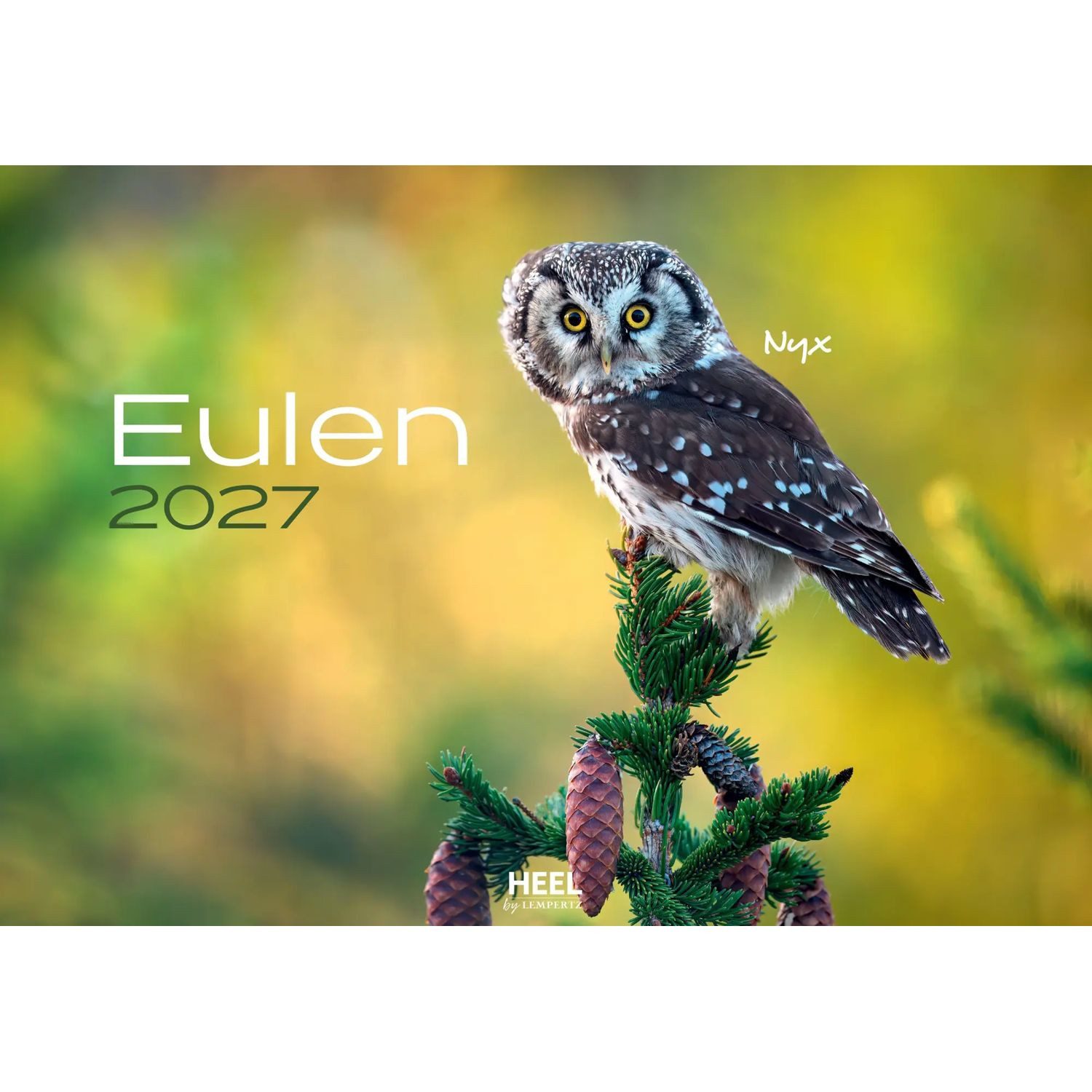 Edition Lempertz Wandkalender Eulen Kalender 2027