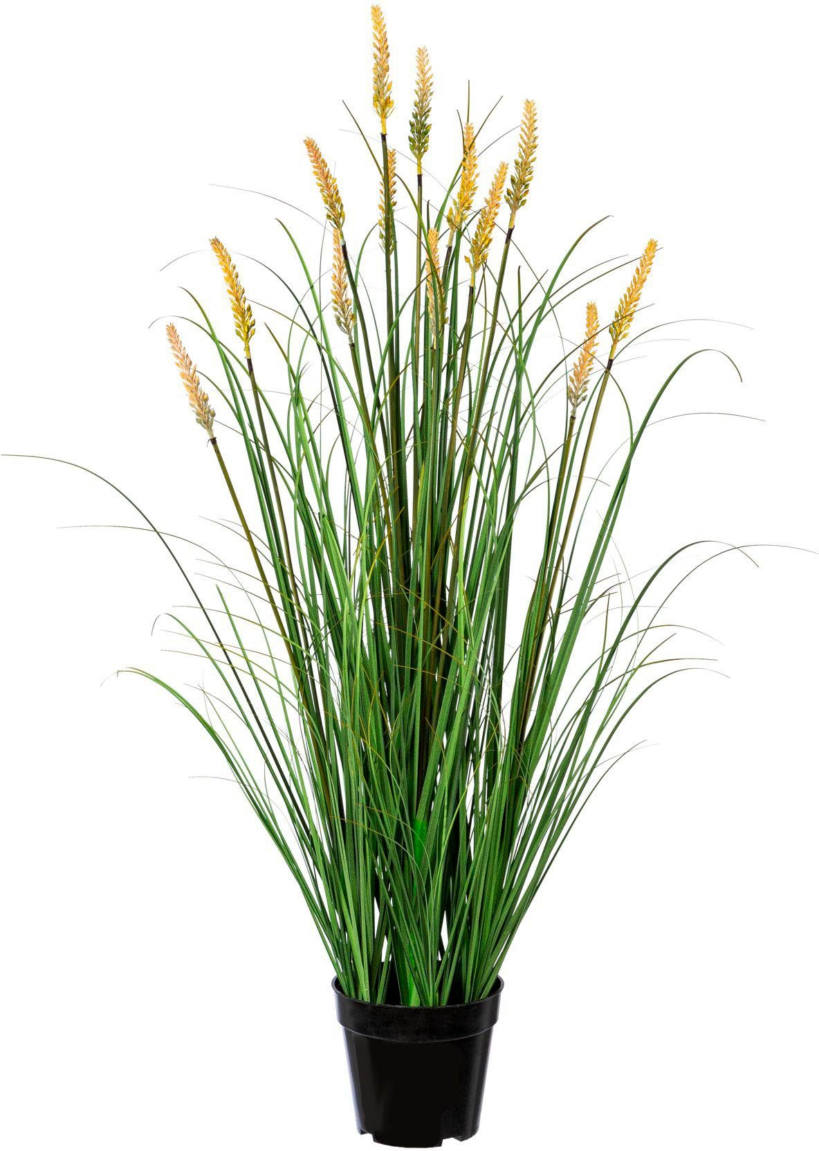 Kunstgras Grasbusch Pennisetum Gras, Creativ green, günstig online kaufen