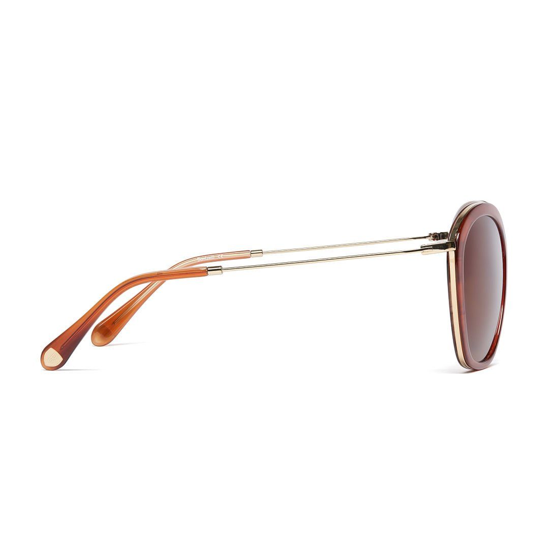 Braun Sonnenbrille Bonizetti (1-St)