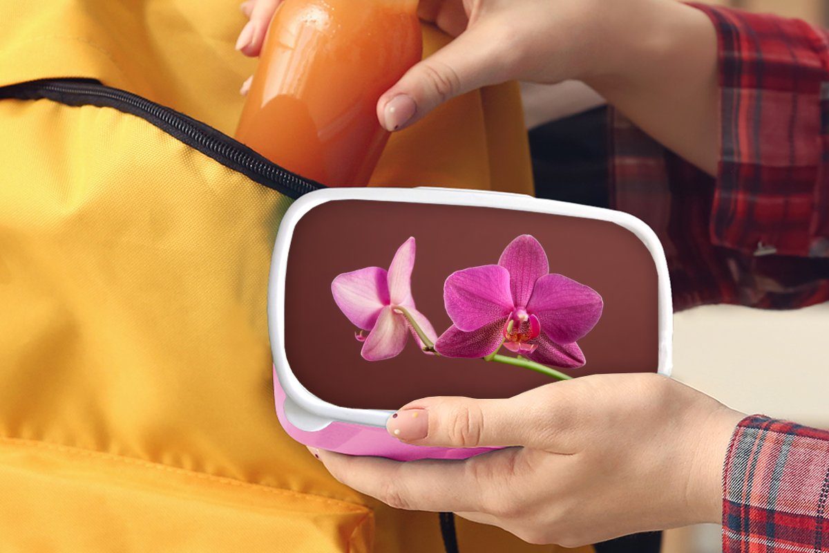 Kunststoff Rosa, Kinder, Orchideen Kunststoff, Erwachsene, Brotbox Mädchen, Snackbox, Blumen Lunchbox - (2-tlg), - Brotdose für MuchoWow