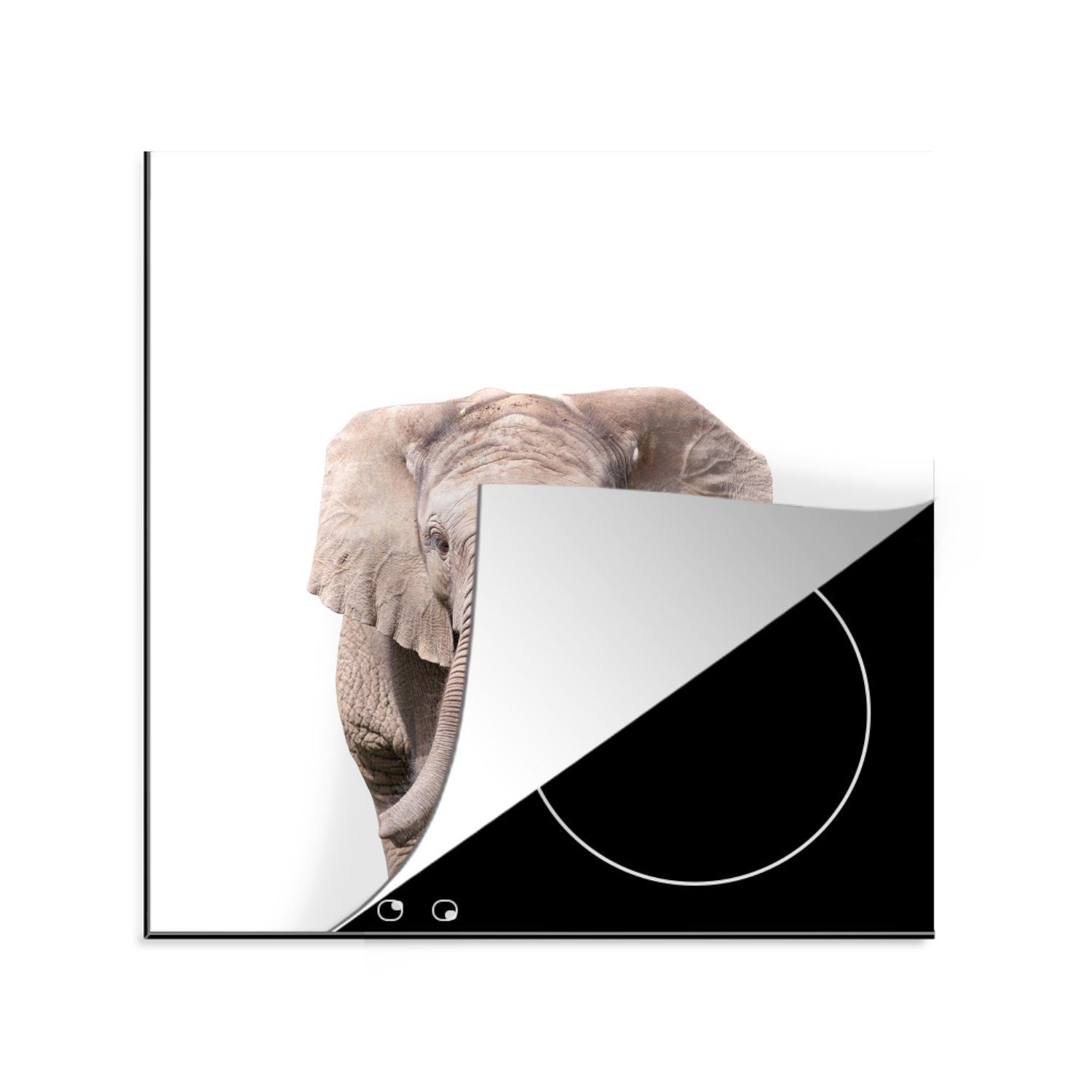 MuchoWow Herdblende-/Abdeckplatte Elefant - Kinder Vinyl, küche - (1 für 78x78 Arbeitsplatte tlg), cm, Jungen, - Ceranfeldabdeckung, Weiß