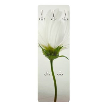 Bilderdepot24 Garderobenpaneel weiss Blumen Floral Weiße Cosmea Design (ausgefallenes Flur Wandpaneel mit Garderobenhaken Kleiderhaken hängend), moderne Wandgarderobe - Flurgarderobe im schmalen Hakenpaneel Design