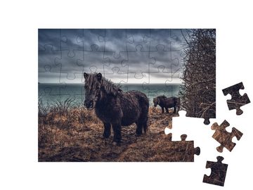 puzzleYOU Puzzle Shetlandponys an der Küste von Cornwall, 48 Puzzleteile, puzzleYOU-Kollektionen Pferde, Shetlandpony