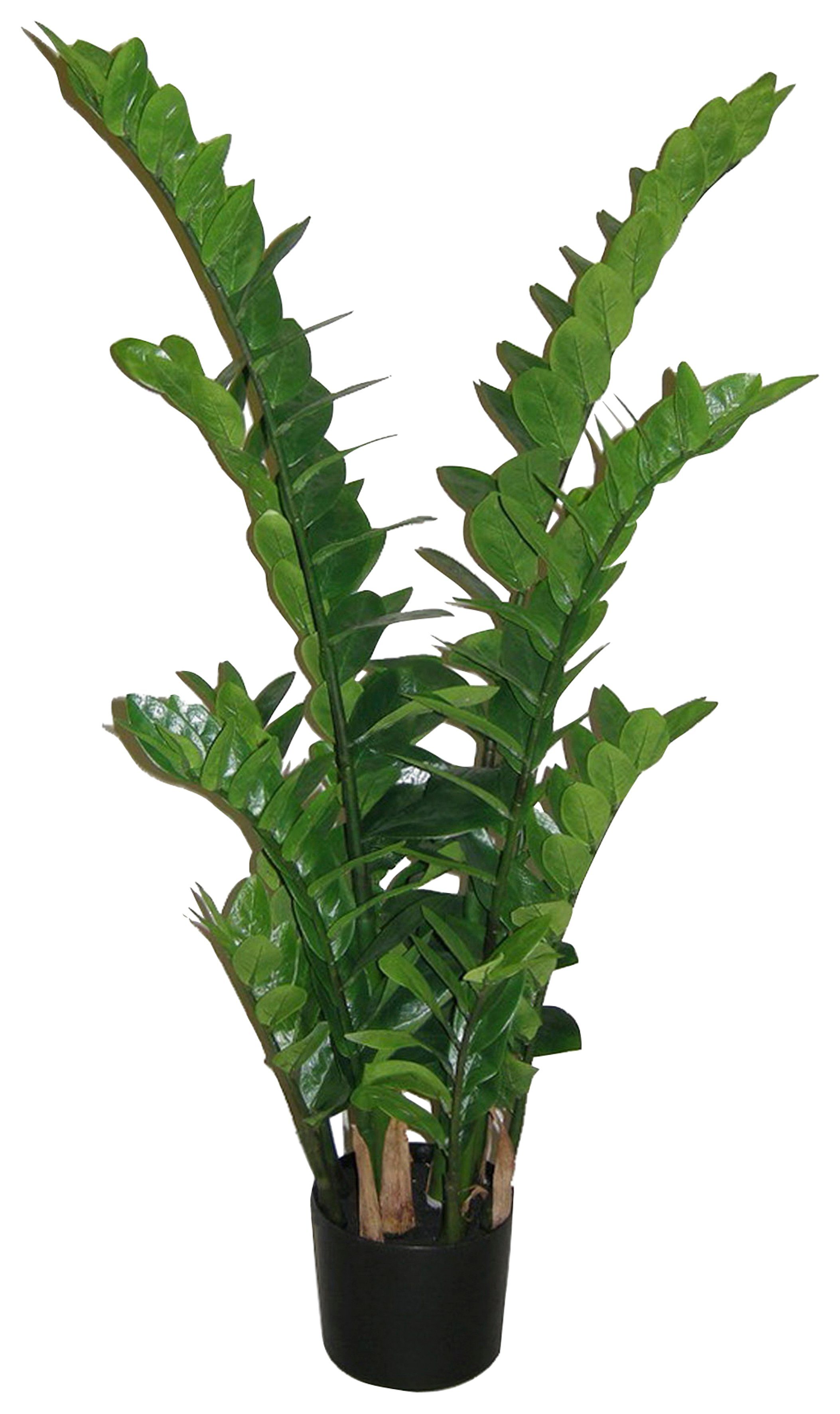 Kunstpflanze Zamifolia, Creativ green, Höhe 110 günstig online kaufen