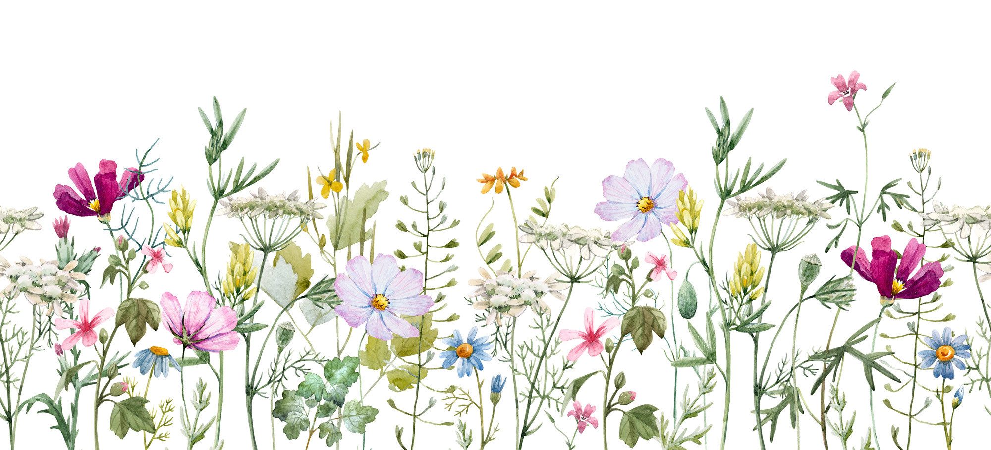 Rasch Fototapete Blumenwiese - Vliestapete Grün, floral, (1 Rolle, 1 St., 2,65 m x 5,83 m), Lichtbeständige Farben - Feucht abwischbar - Restlost abziehbar