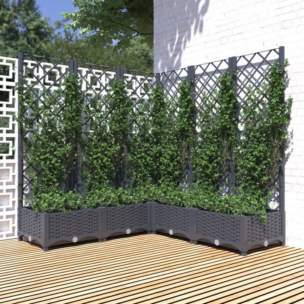 vidaXL Blumenkasten 120 x 120 x 1215 cm Pflanzkübel mit Spalier Dunkelgrau 120x120x121,5 c