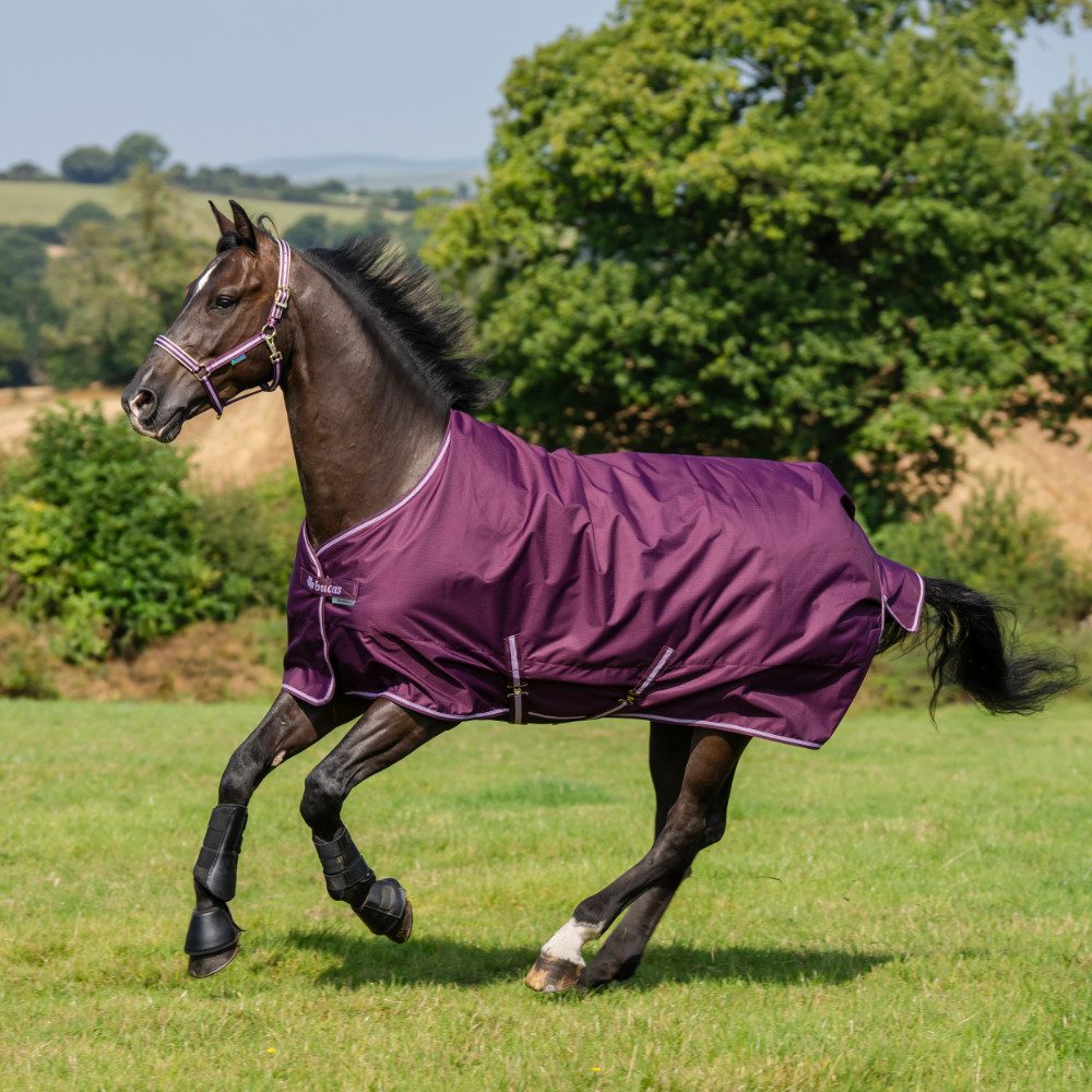 Bucas Pferde-Regendecke Bucas Freedom Turnout 50g