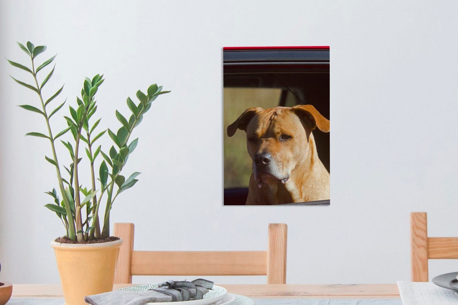 Zackenaufhänger, Staffordshire Leinwandbild bespannt Terrier St), in einem roten 20x30 Leinwandbild fertig cm (1 Gemälde, Auto, OneMillionCanvasses® Bull inkl. Ein