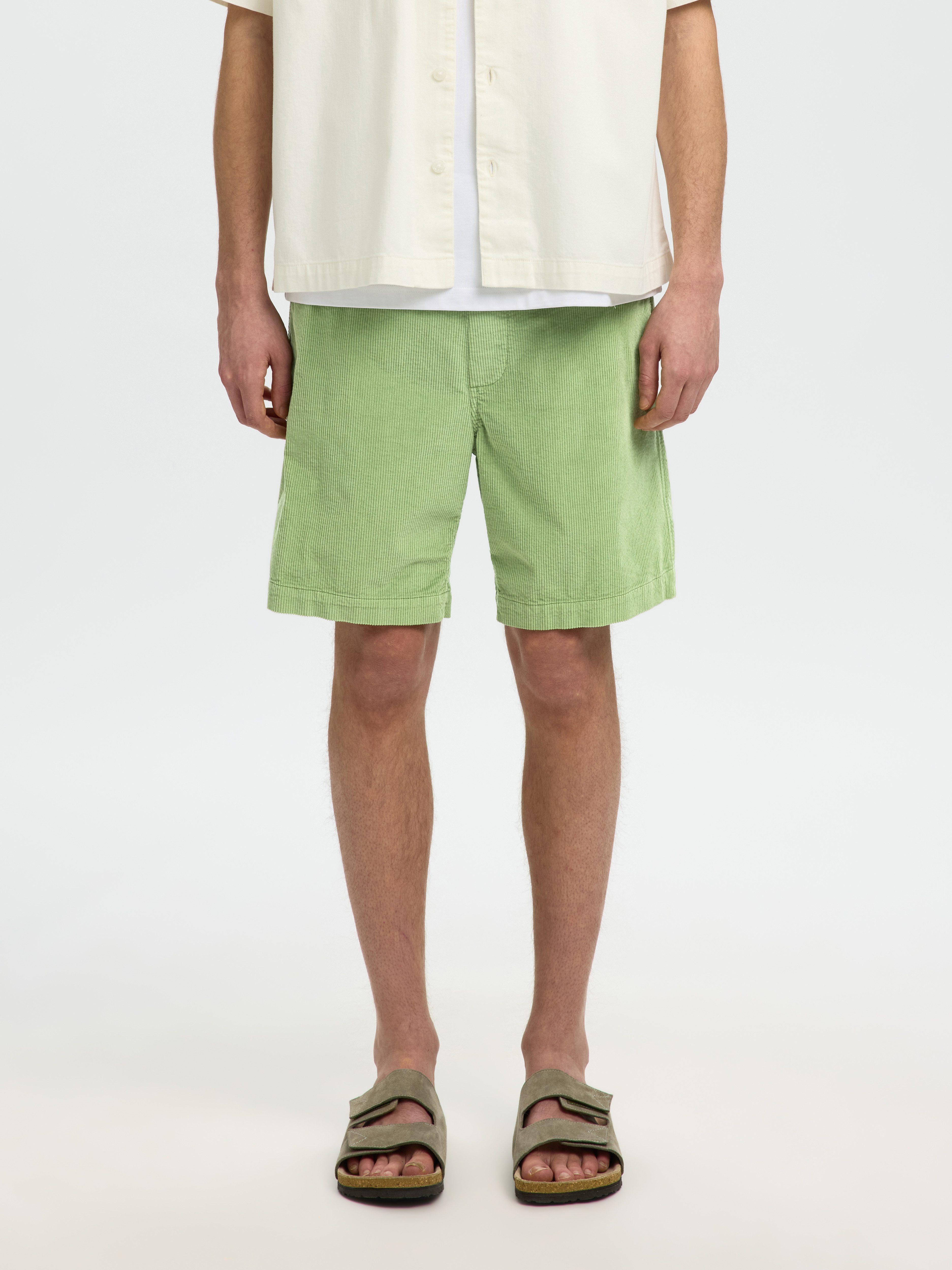 SELECTED HOMME Shorts