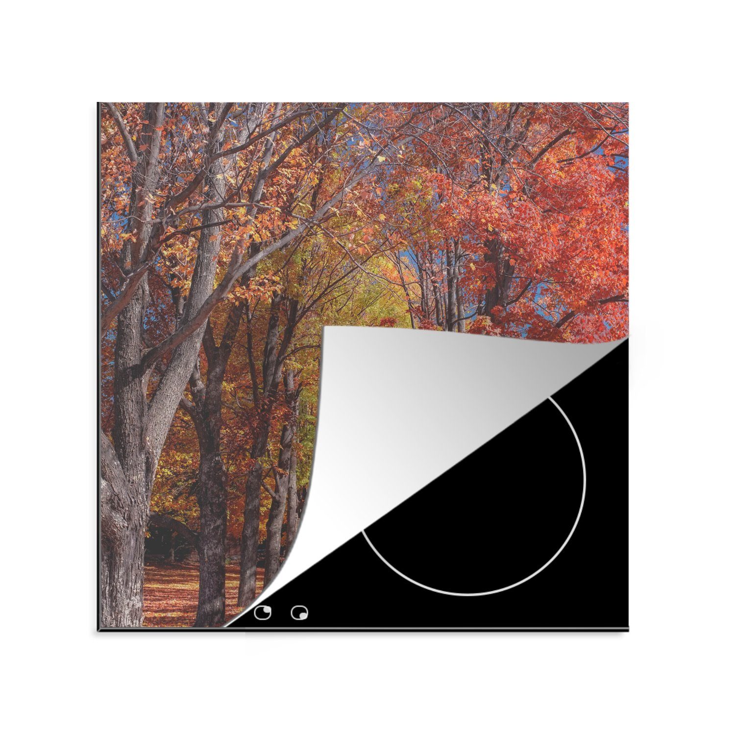MuchoWow Herdblende-/Abdeckplatte Baum - Ceranfeldabdeckung, Vinyl, cm, küche 78x78 Amerika, - Herbst Arbeitsplatte tlg), (1 für
