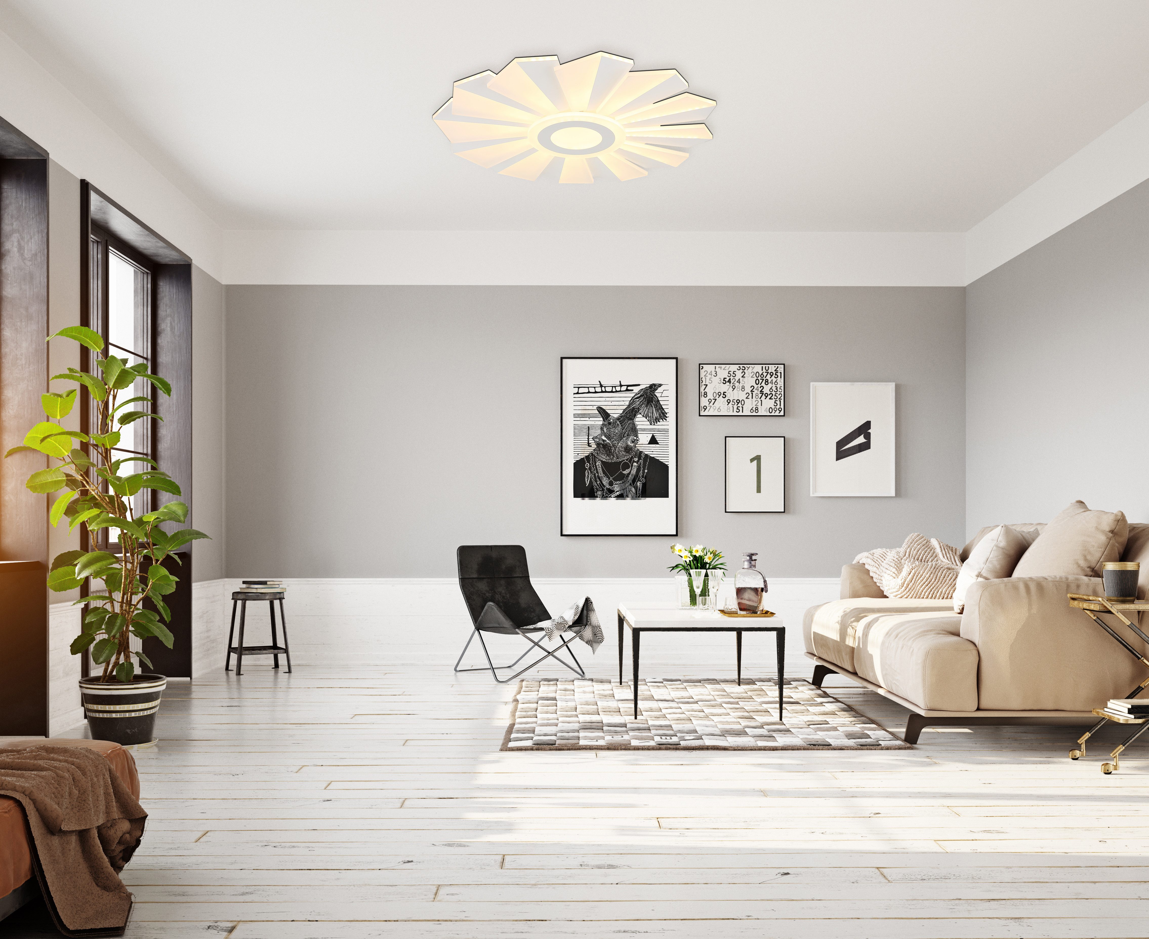 GLOBO LIGHTING LED Deckenleuchte ALWINA, Dimmfunktion, Memoryfunktion, Nachtlichtfunktion, Timerfunktion, mehrere Helligkeitsstufen, LED fest integriert, Deckenlampe/rund/Wohnzimmer/Schlafzimmer/modern