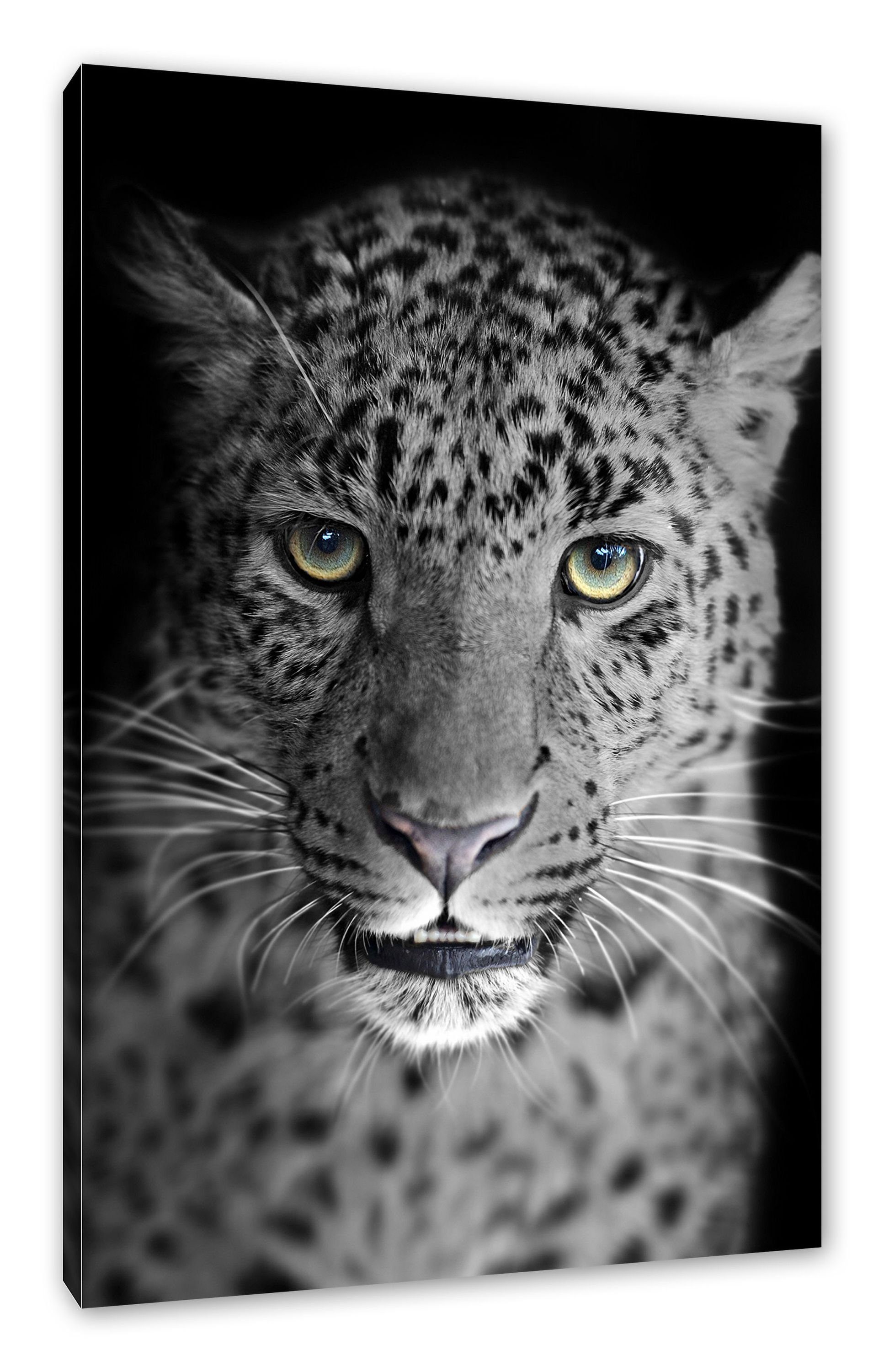 wunderschöner inkl. Leopard, St), Pixxprint Leinwandbild fertig wunderschöner Leopard stolzer bespannt, (1 Leinwandbild stolzer Zackenaufhänger