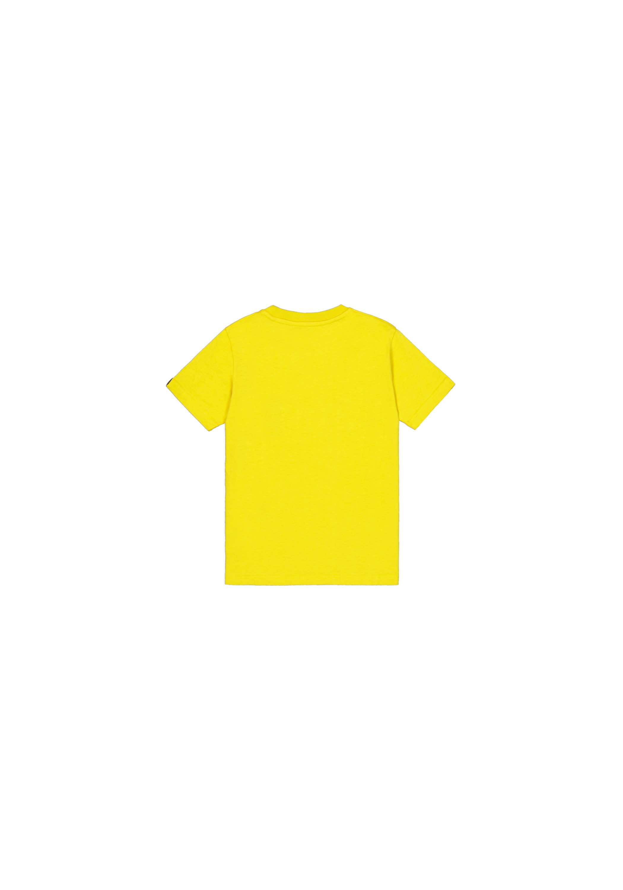 Alpha Industries T-Shirt Basic T-Shirt BL K