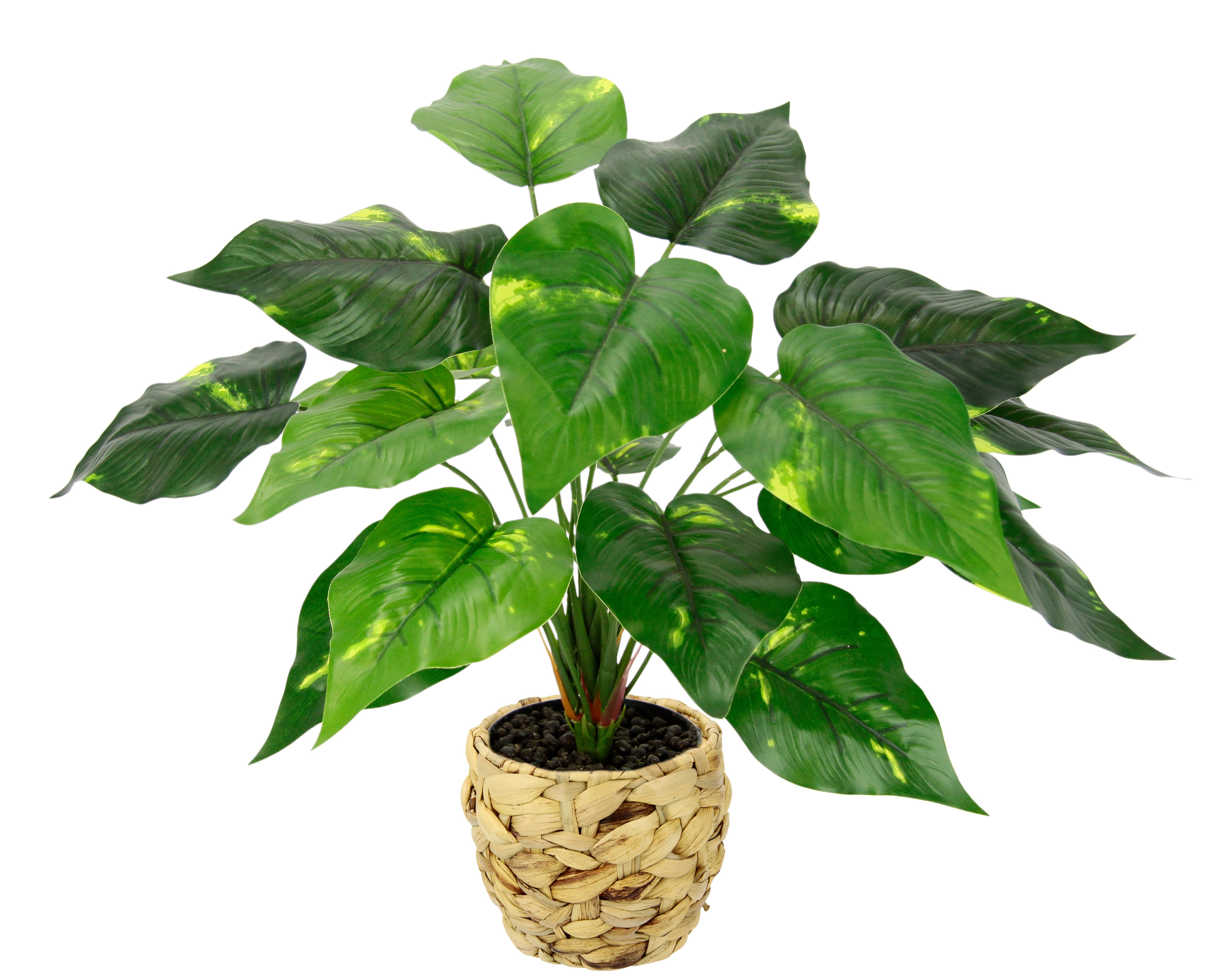 Kunstpflanze Pothospflanze in Wasserhyazinthentopf Pothospflanze, I.GE.A., günstig online kaufen