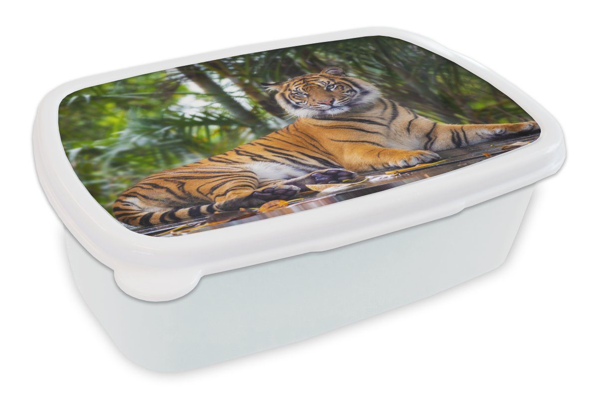 MuchoWow Lunchbox Tiger - Tiere - Wald - Dschungel, Kunststoff, (2-tlg), Brotbox für Kinder und Erwachsene, Brotdose, für Jungs und Mädchen weiß